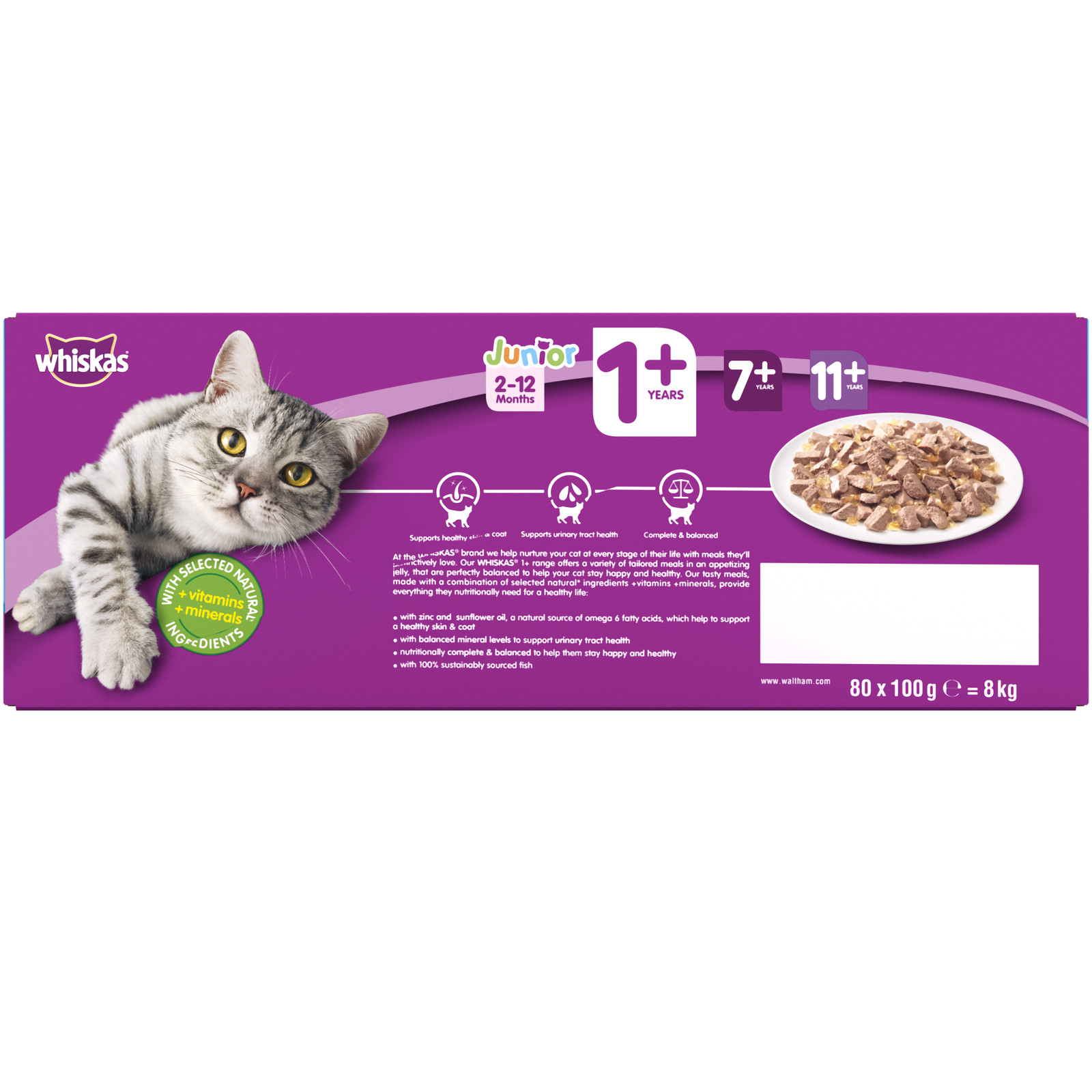 1+ Cat Pouches Fish Selection in Jelly 80x75g Giant Pack