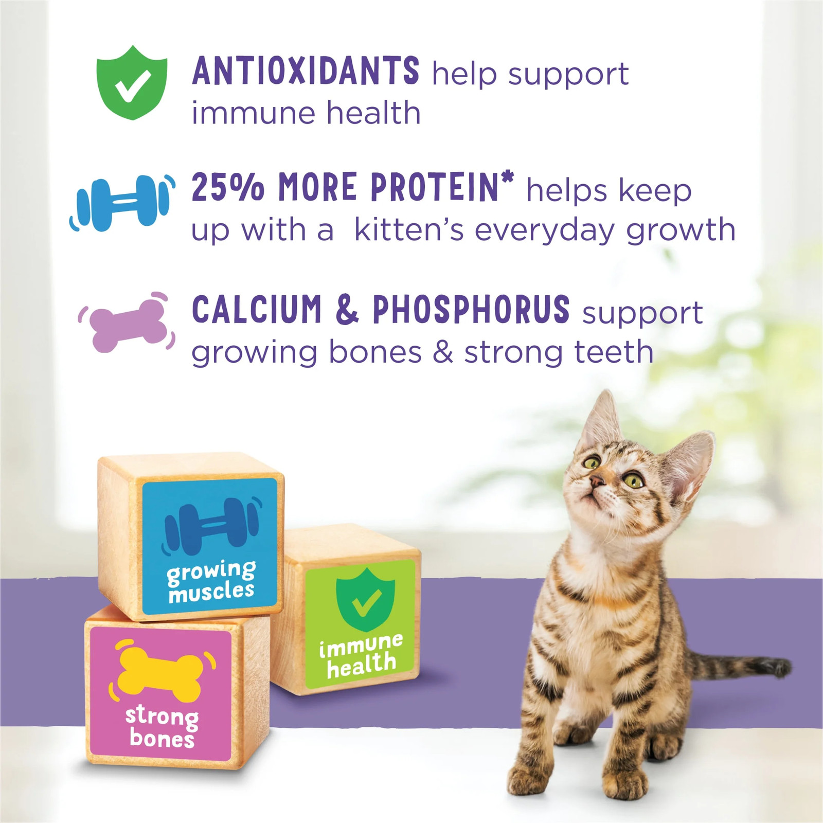 Purina Kitten Chow Healthy Development, Indoor Dry Kitten Food, Chicken, 14 Lb B