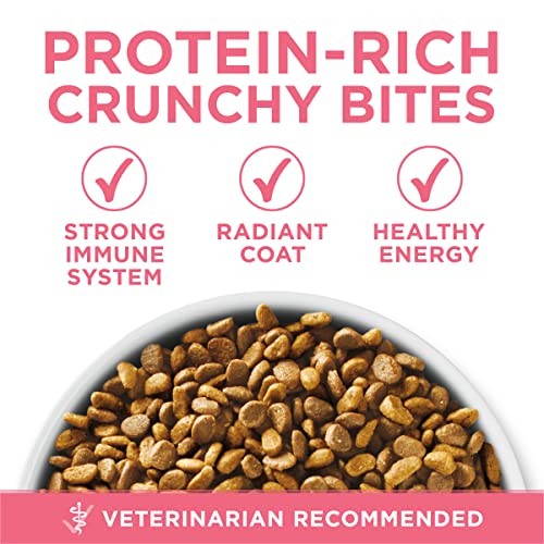 Purina ONE High Protein Dry Kitten Food, 7 lb Bag – Supports Strong Muscles
