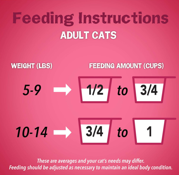 Original Purina Friskies Gravy Swirlers 100 Complete Dry Cat Food 22 LB