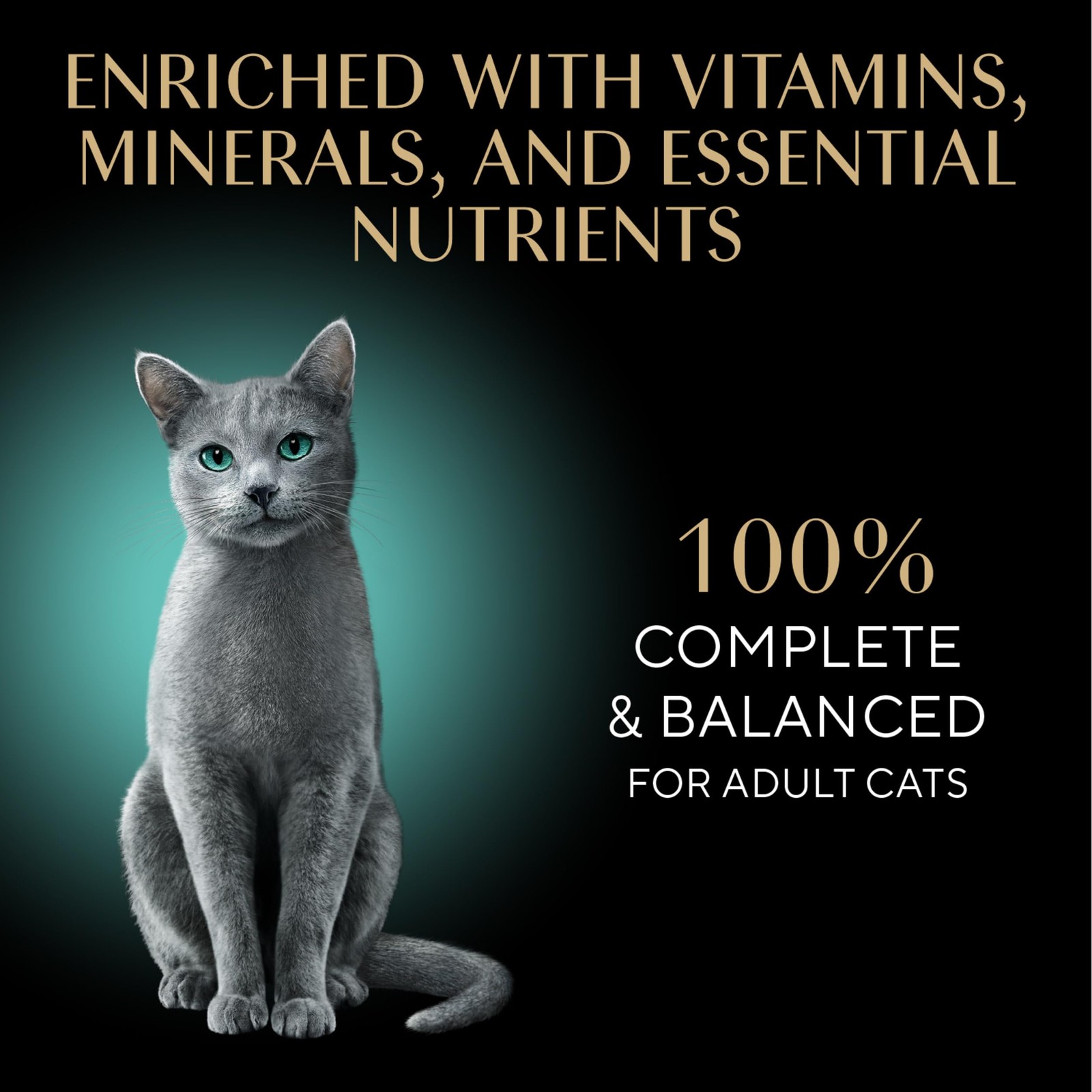 Perfect Portions Wet Cat Food Cuts in Gravy, Cat Food Wet Recipe, Roasted Chi…