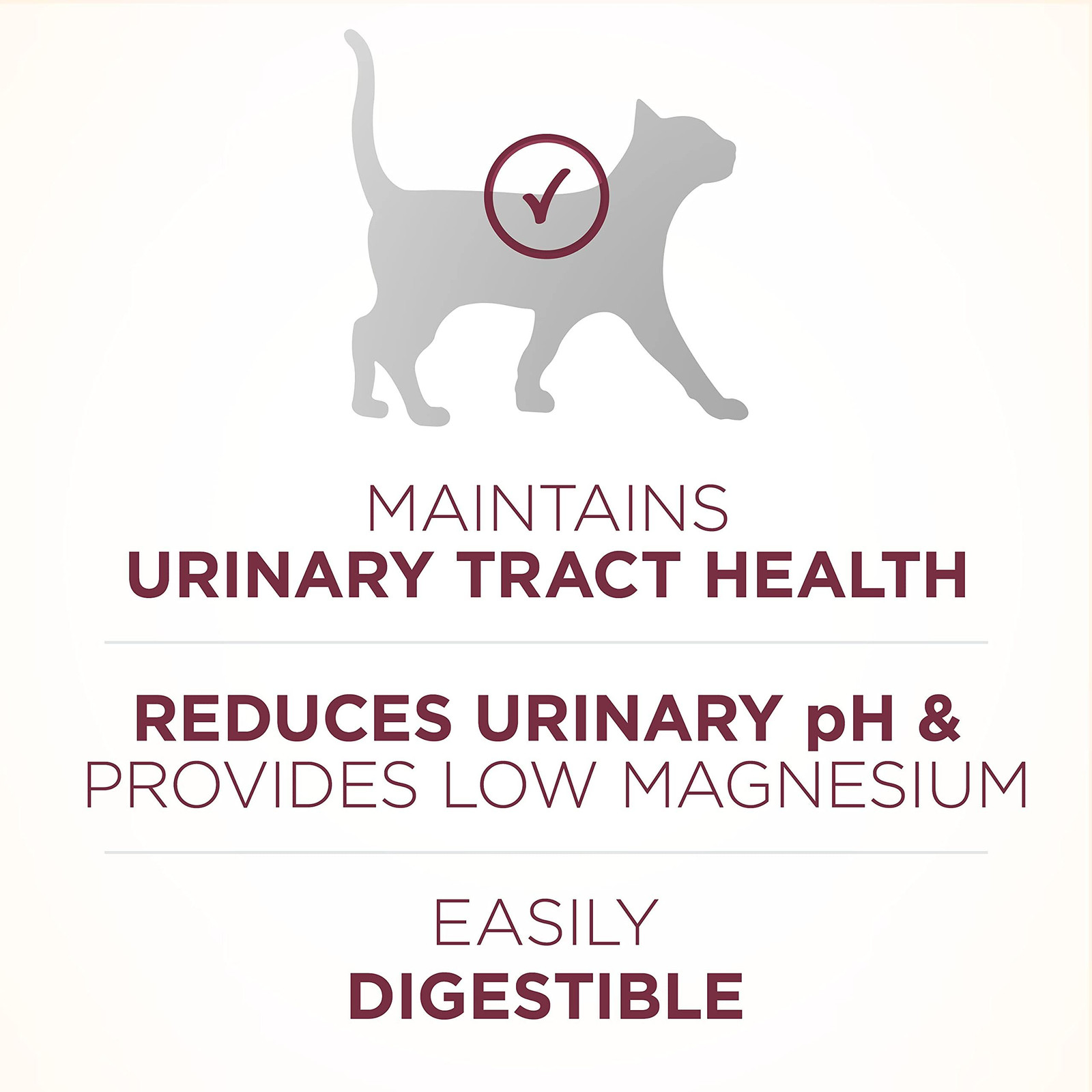 Purina ONE High Protein Dry Cat Food, +Plus Urinary 16 Pound (Pack of 1)