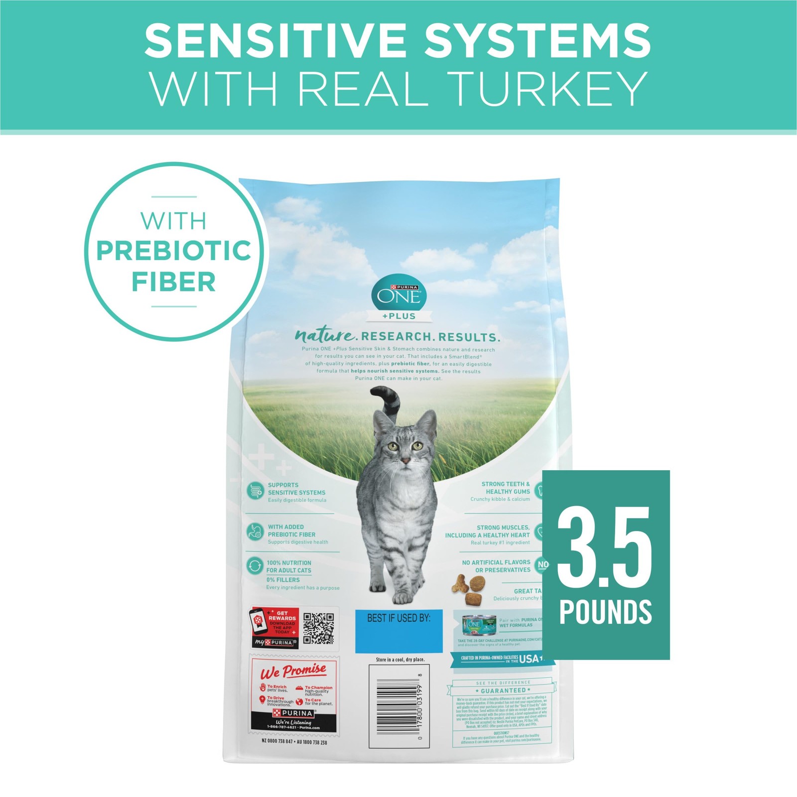 Purina ONE Sensitive Stomach, Sensitive Skin, Natural Dry Cat Food, +Plus