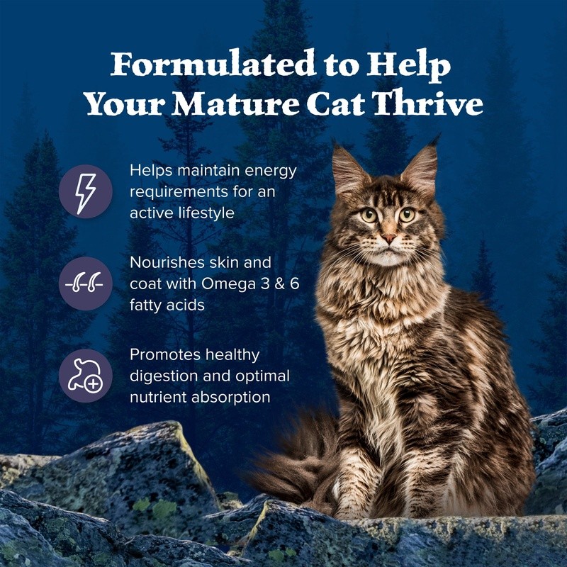 Grain Free High Protein Dry Cat Food Senior Chicken Recipe Omega Fatty Acids New