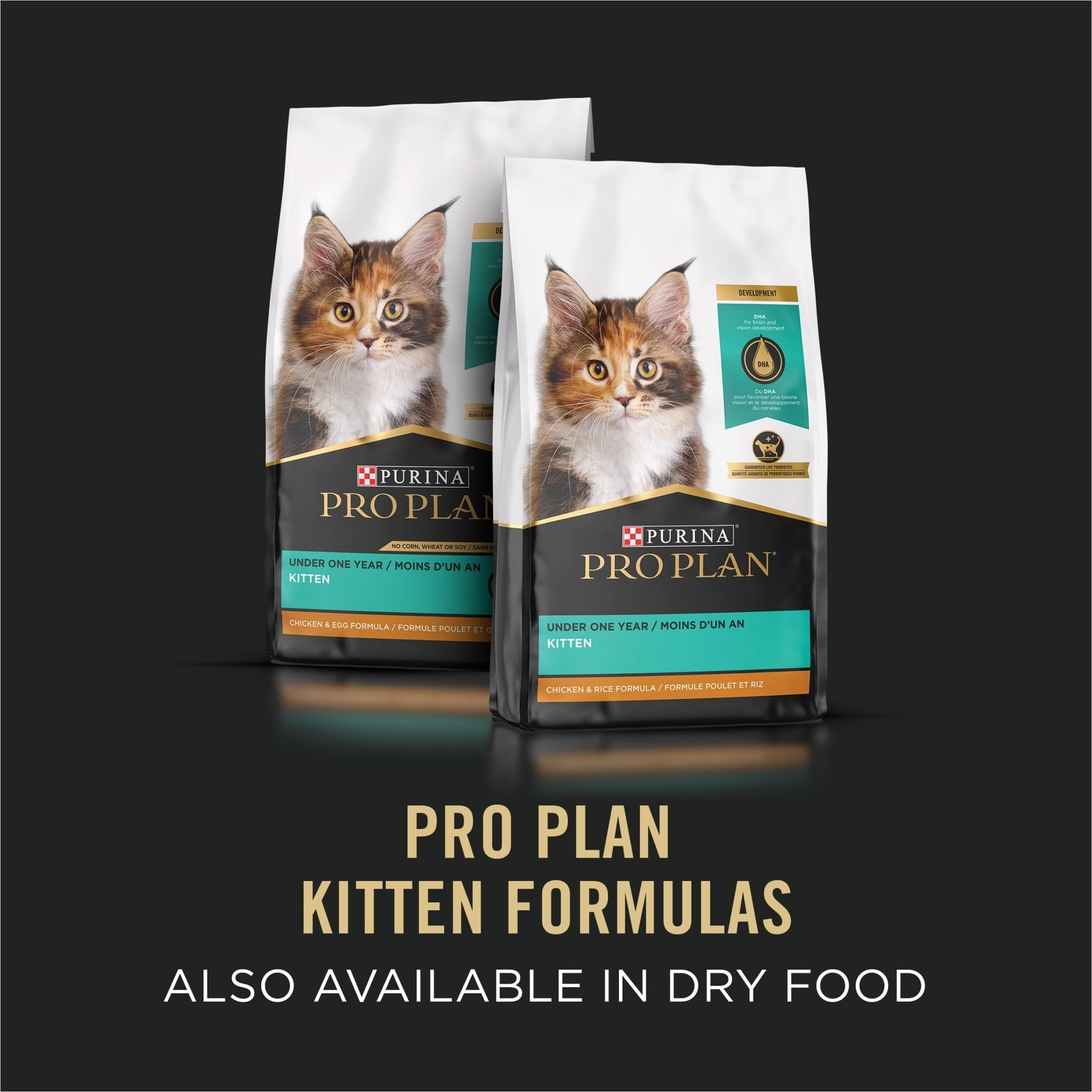 3 oz Can Chicken Liver Kitten Food W/ Natural & No Artificial Flavors