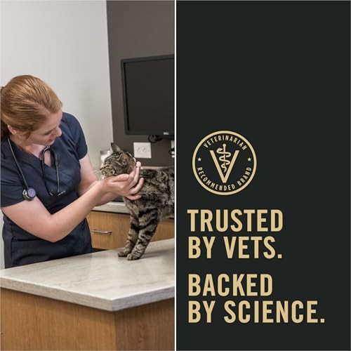 Purina Pro Plan LiveClear Dry Cat Food for Kittens 3.2 Pound (Pack of 1)