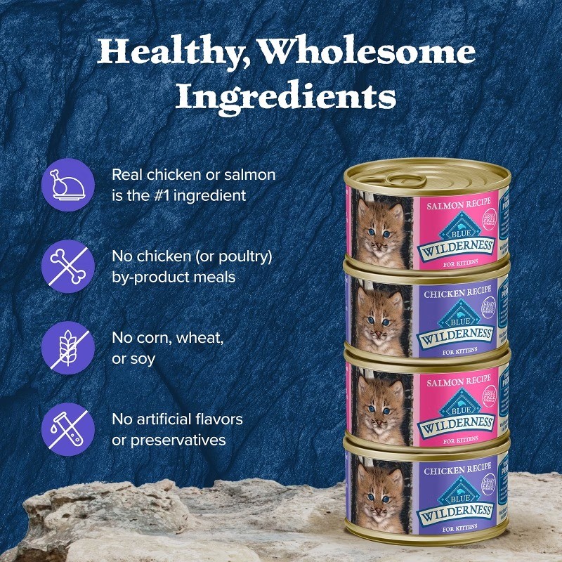 Blue Buffalo Wilderness High Protein Grain-Free Kitten Pate Wet Cat Food