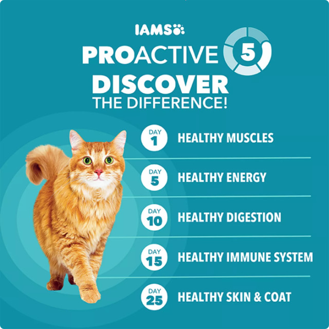 3 Pack, IAMS™ Proactive Health Indoor Adult Dry Cat Food Weight & Hairball,22 LB