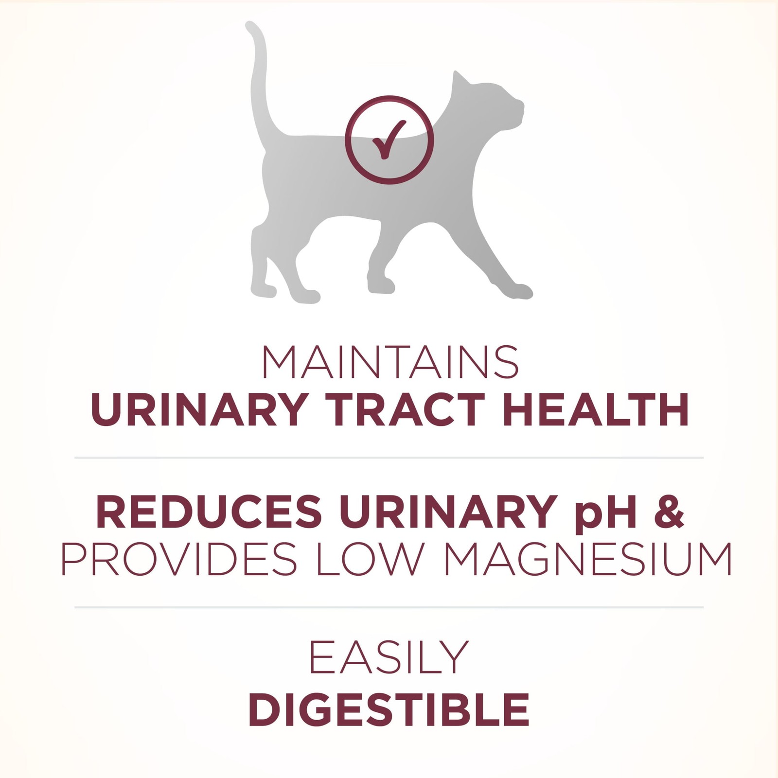 Purina One Plus Urinary Tract Health Formula Dry Cat Food Chicken 16 Pound Bag