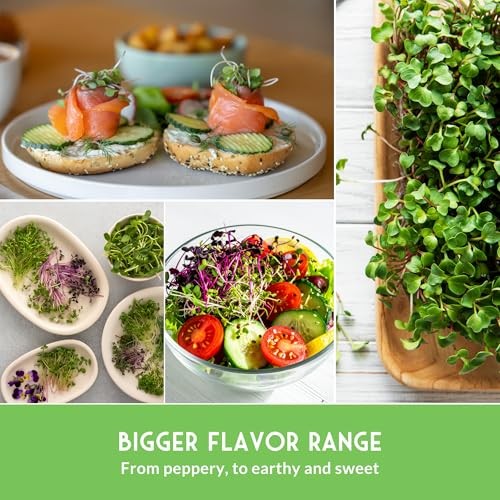 Microgreens Seeds Variety Pack – 15 Heirloom Varieties for Indoor Sprouting &