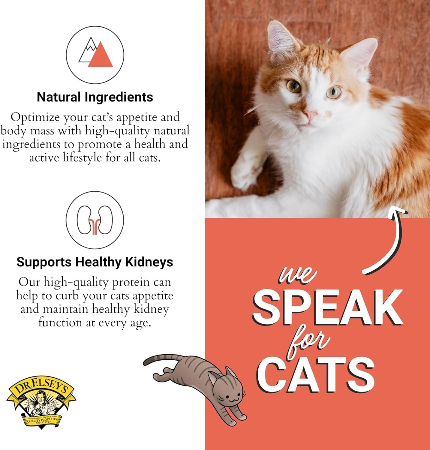Dr. Elsey’s Cleanprotein Salmon Dry Cat Food, 6.6 Lb – All Life Stages Formula