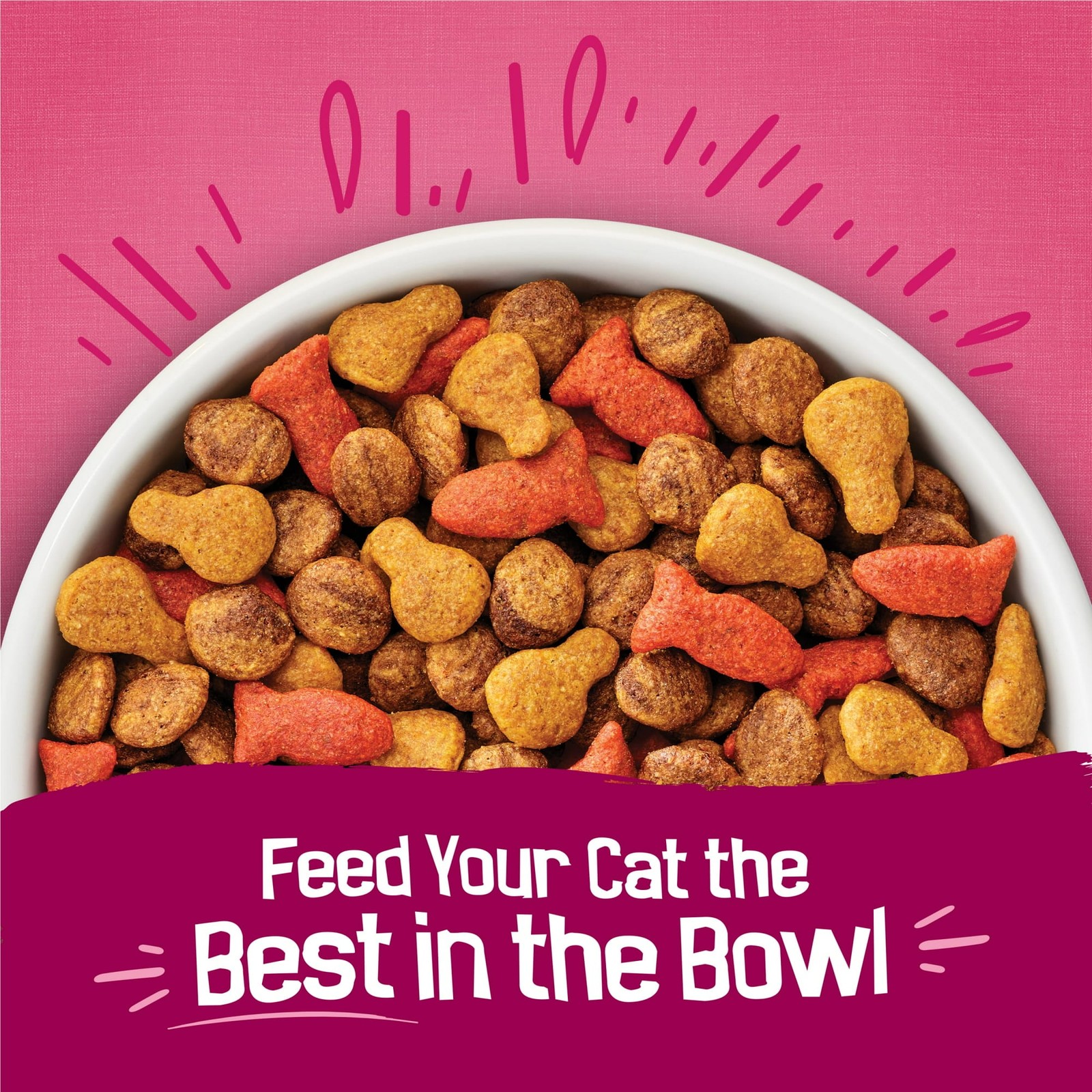 (2 pack) Purina Friskies Gravy Swirlers Dry Cat Food Flavors of Chicken, Salmon