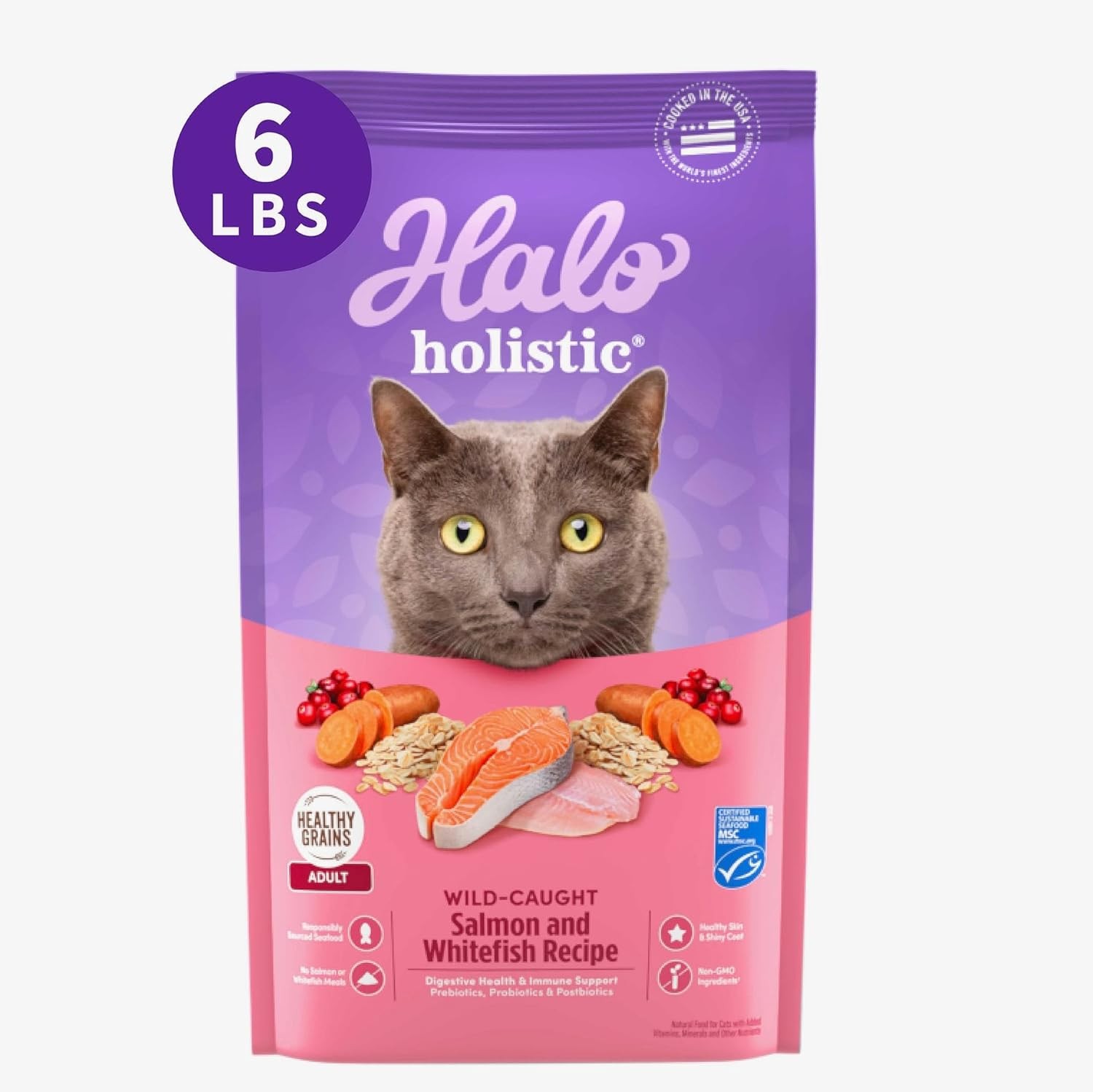 Holistic Cat Food Wild Caught Salmon & Whitefish Formula Healthy Grains Dry Cat