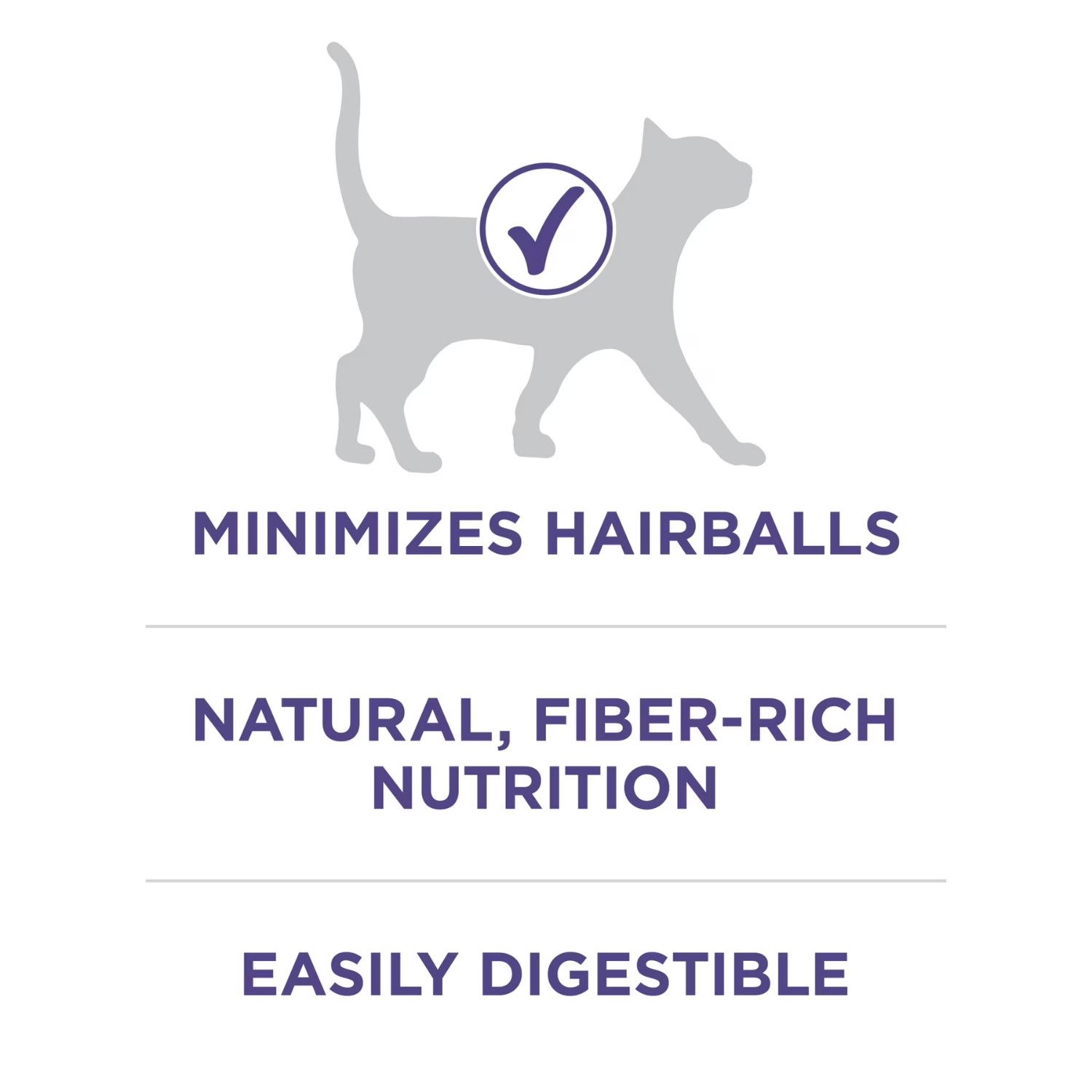Purina ONE Plus Hairball Formula Dry Cat Food Chicken 16 lb Bag