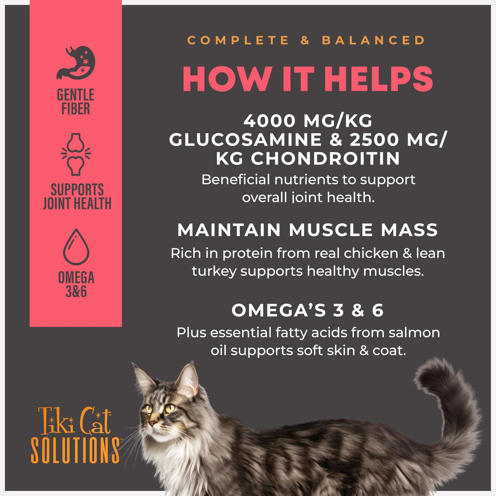 Tiki Pets Tiki Cat Solutions Dry Cat Food Mobility 2.8 Lbs. Bag