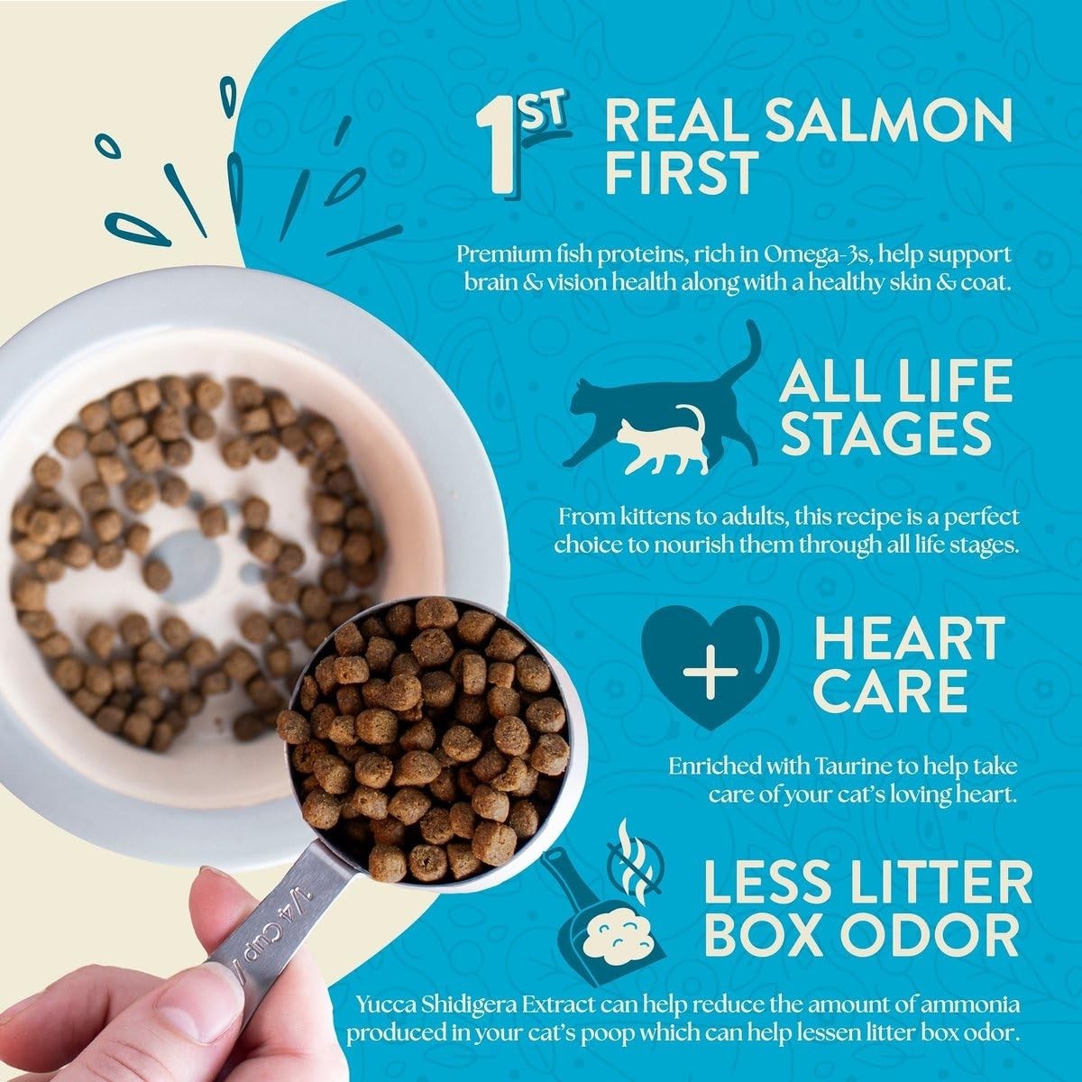 Earthborn Holistic Wild Sea Catch 12.5 lb Grain-Free Dry Cat Food Salmon