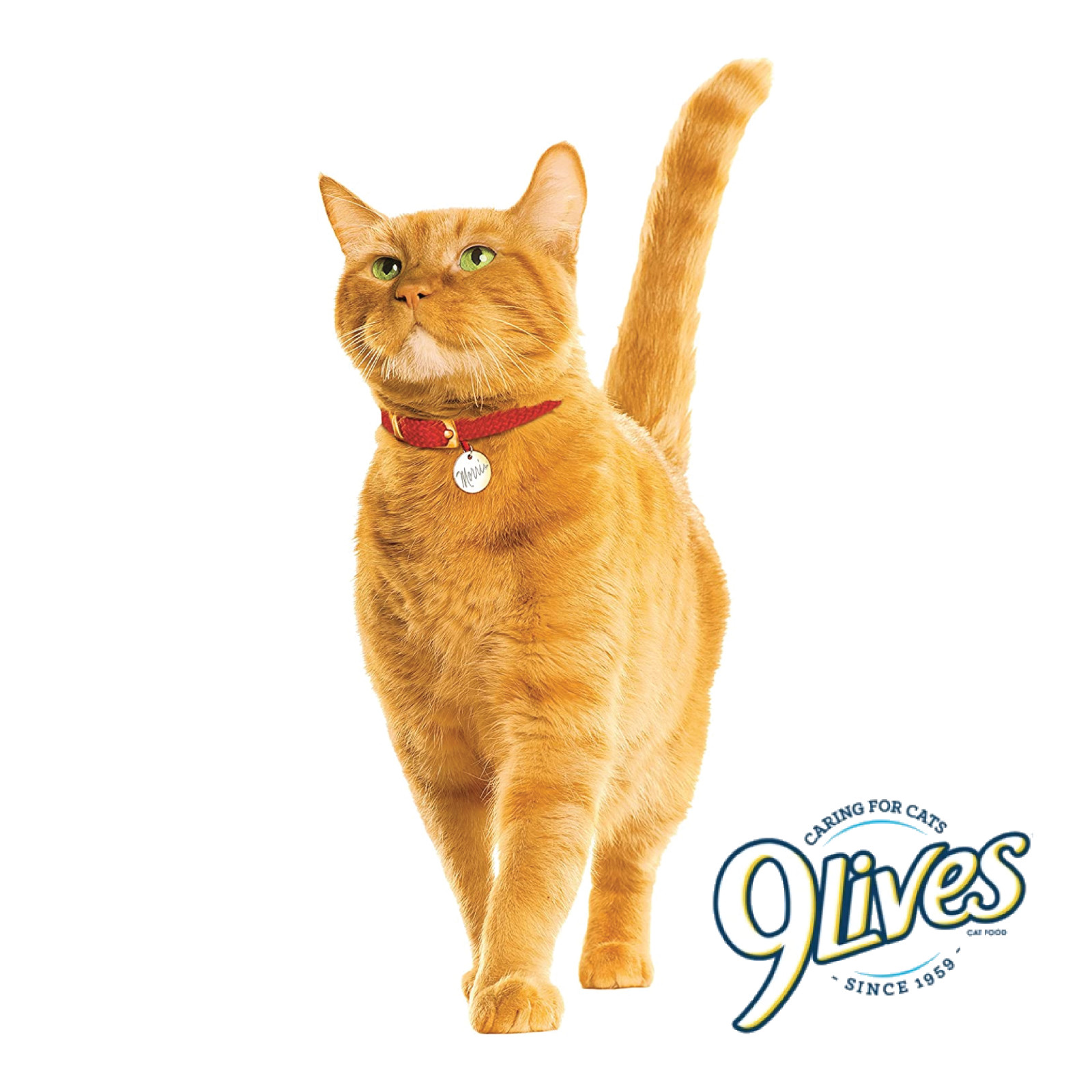 12x Cans 9Lives Hearty Cuts Real Chicken & Fish in Gravy Cat Food 5.5oz