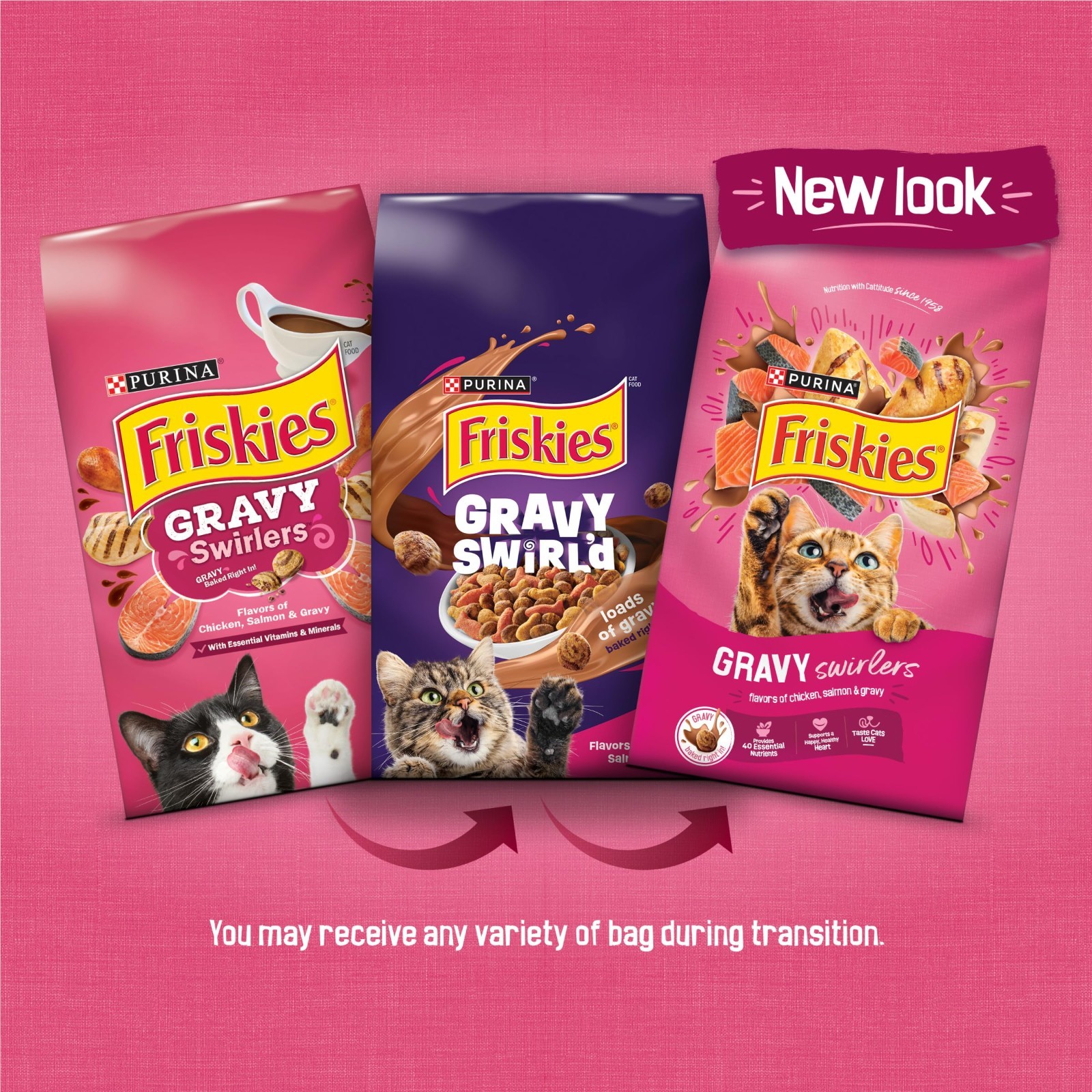 Savory Gravy Swirlers Dry Cat Food with Chicken & Salmon – 22 lb Bag