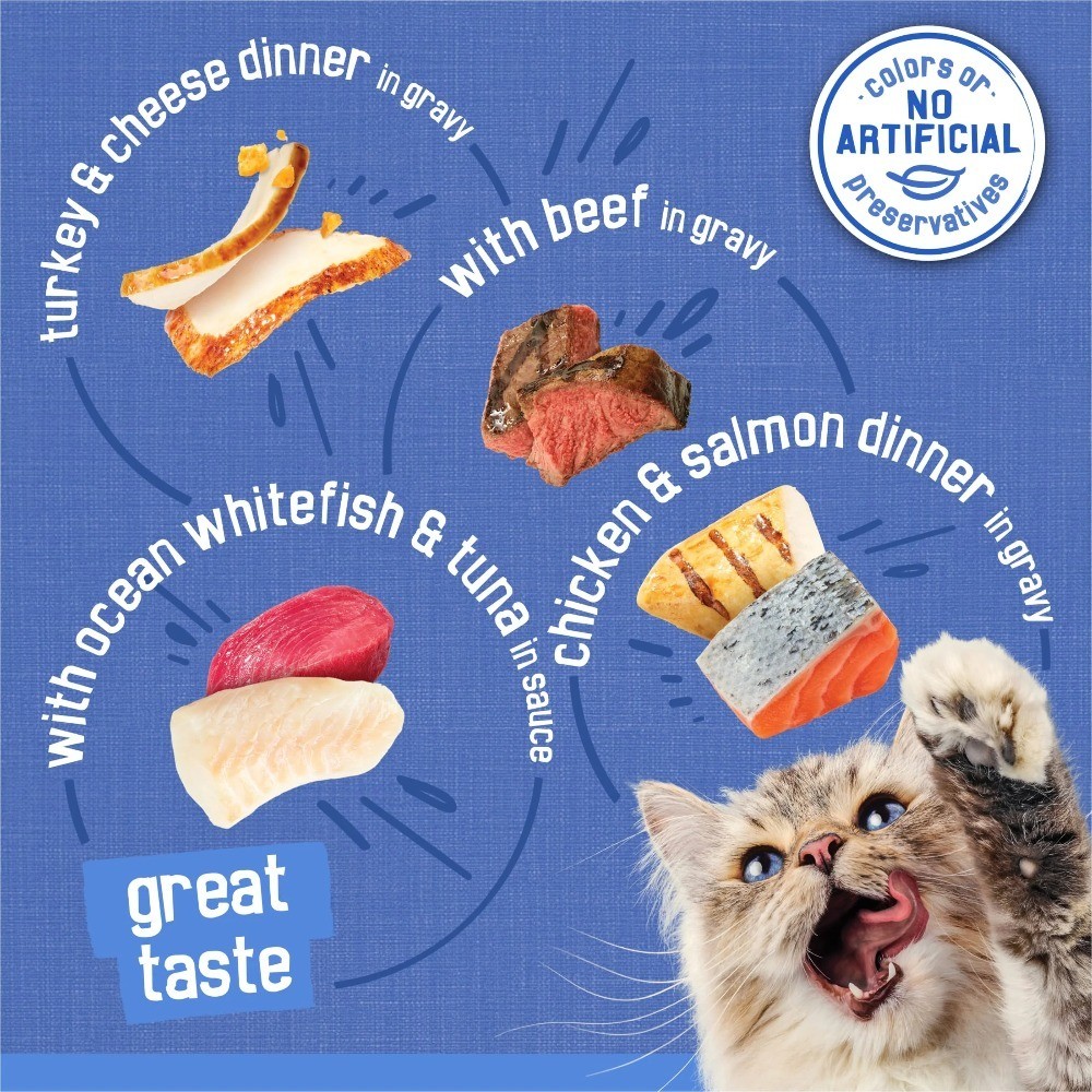 Wet Cat Food Variety Pack with Gravy 40 Cans 5.5 oz Each for Adult and Senior
