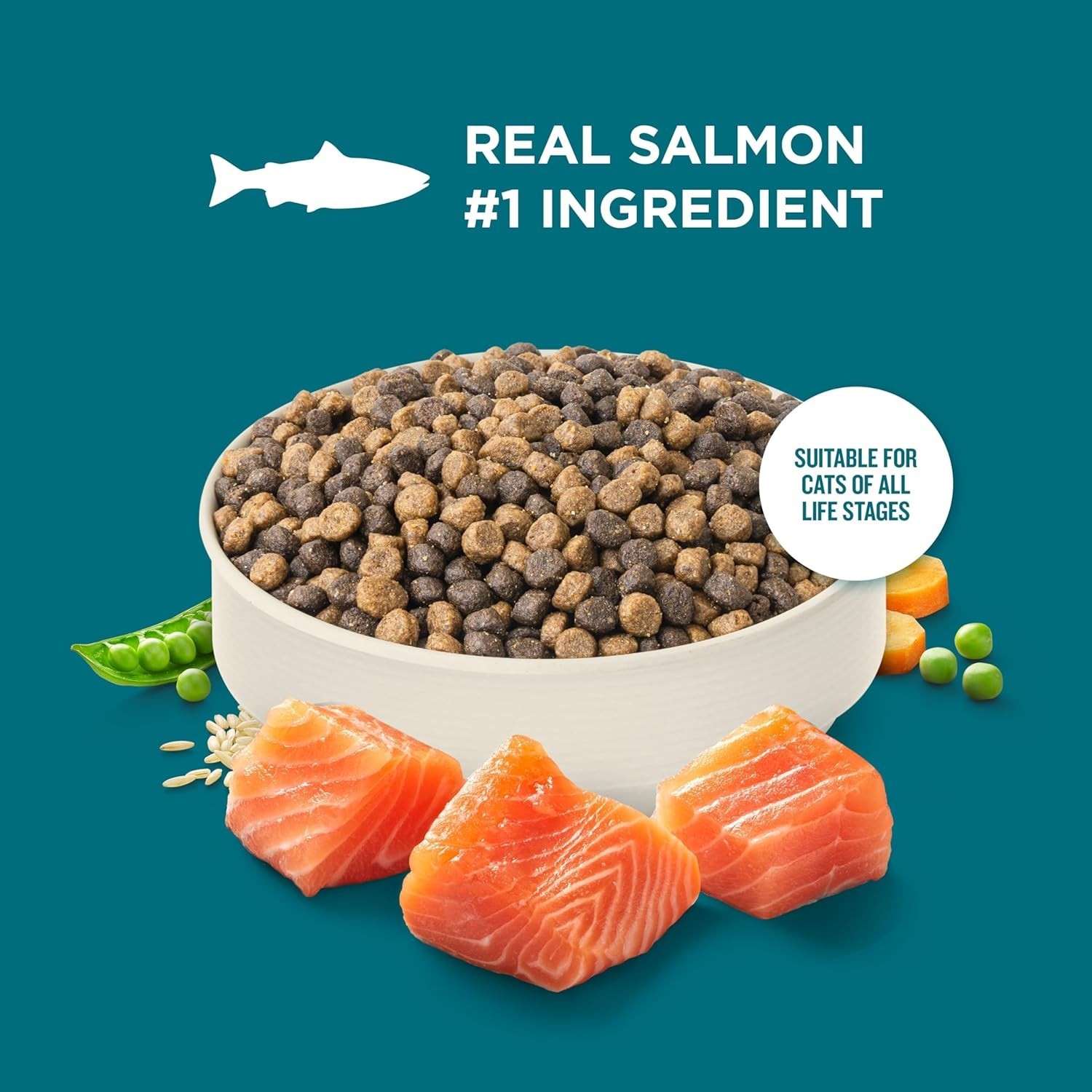 Nutrish Real Salmon Brown Rice Recipe Dry Cat Food, 14 lb. Bag, Packaging May