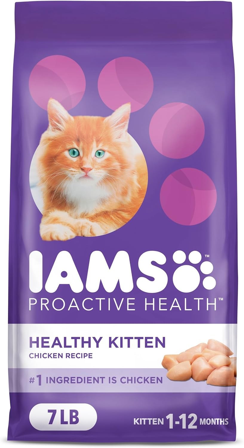 IAMS Proactive Health Healthy Kitten Dry Cat 7 Pound (Pack of 1), Chicken