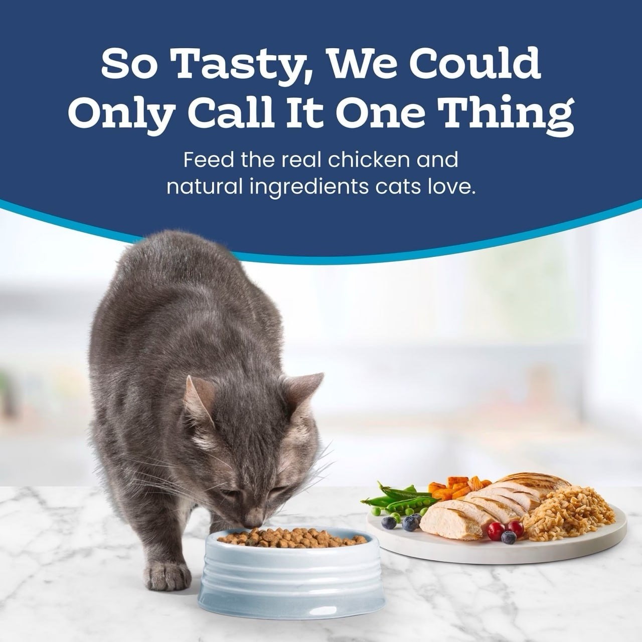 Blue Buffalo Tastefuls Indoor Adult Chicken & Brown Rice Dry Cat Food, 15 lb