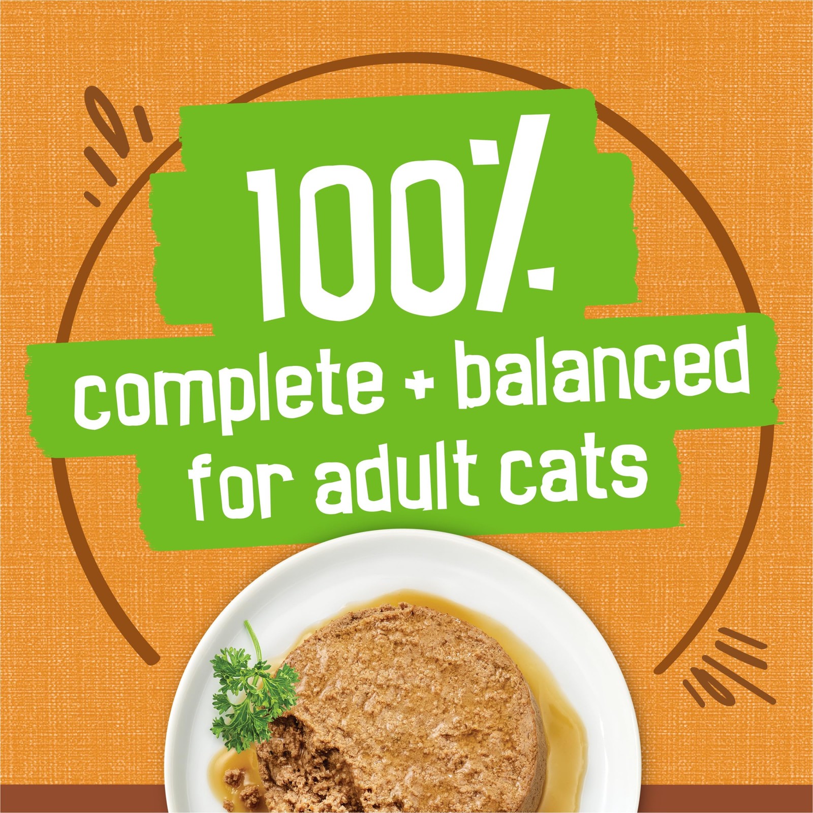 Purina Friskies Gravy Pate Wet Cat Food Extra Gravy Pate Chicken In – Of 24 5.5