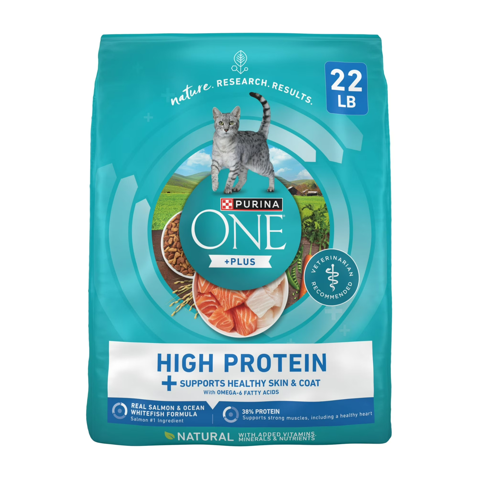 Purina ONE Plus Skin & Coat Salmon Whitefish High Protein Dry Cat Food 22 lb New