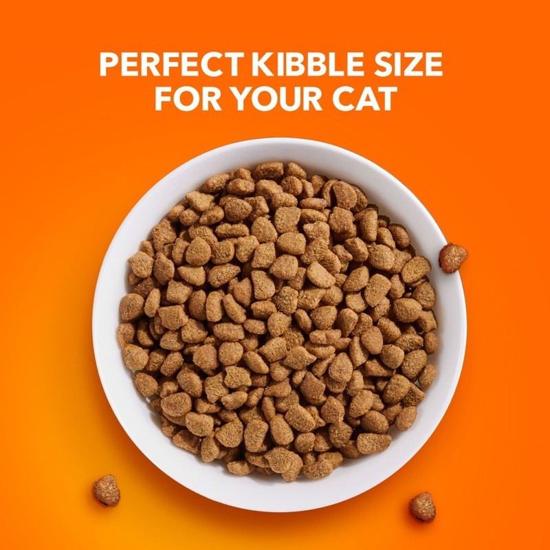 Dry Cat Food Chicken Adult Nutrition Digestive Care Kibble Omega Fatty Acids New