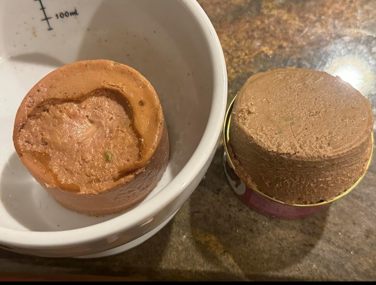 Solid Gold Wet Cat Food Pate – Canned Cat Food Made W/Real Salmon & Beef for Kit