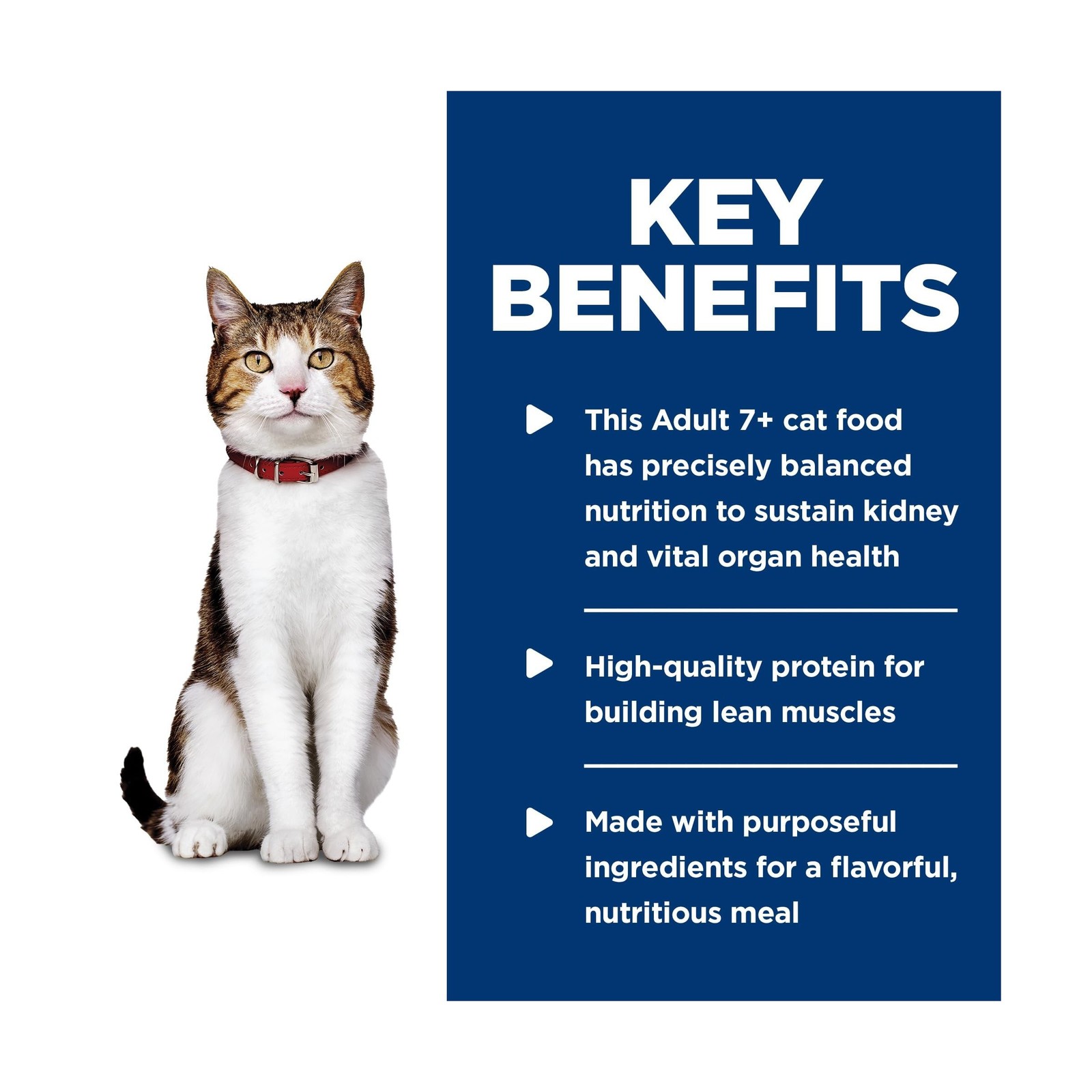 Hill’s Science Diet Adult 7+, Senior Adult 7+ Premium Nutrition, Wet Cat Food…