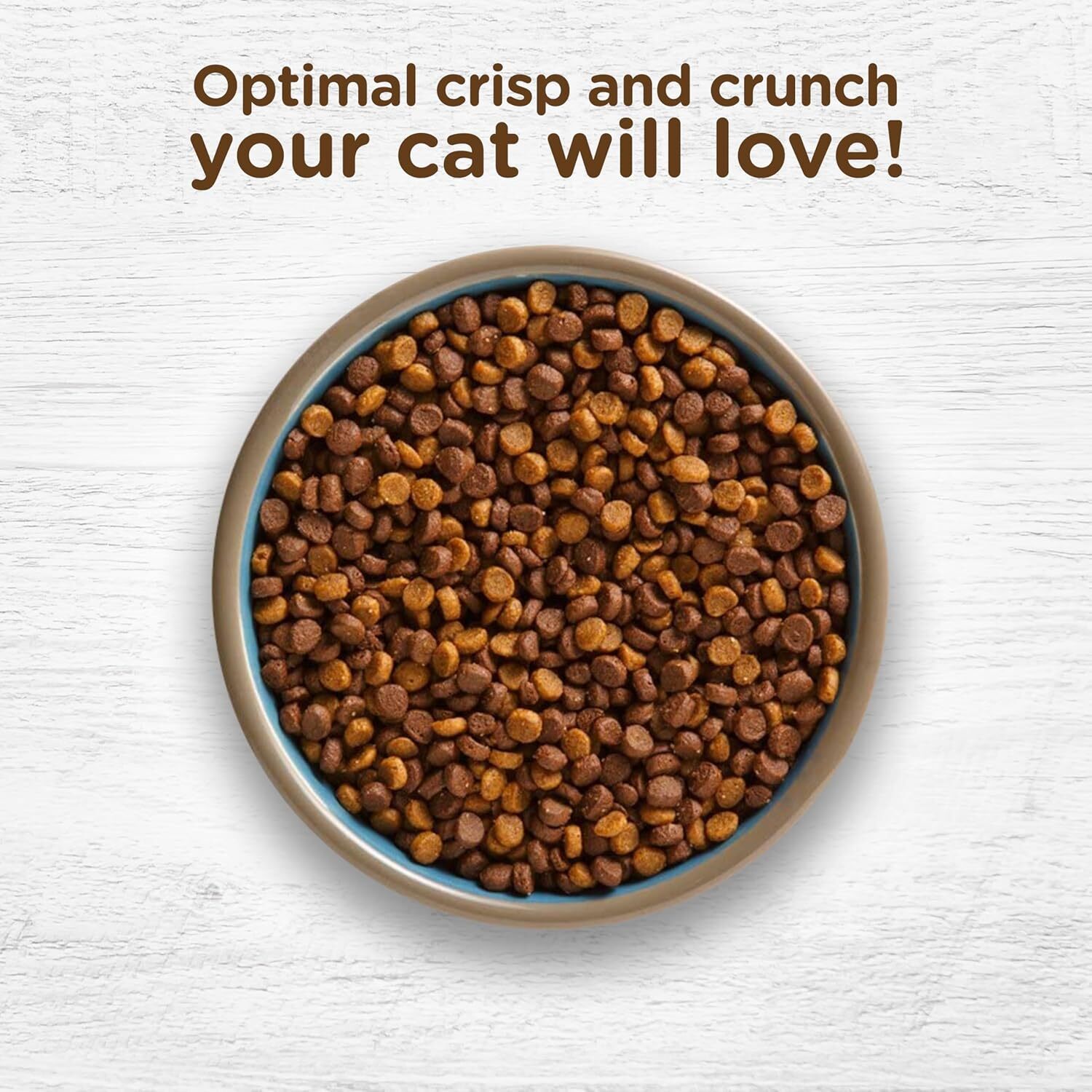 Complete Premium Natural Dry Cat Food, Chicken with Lentils & Salmon Recipe