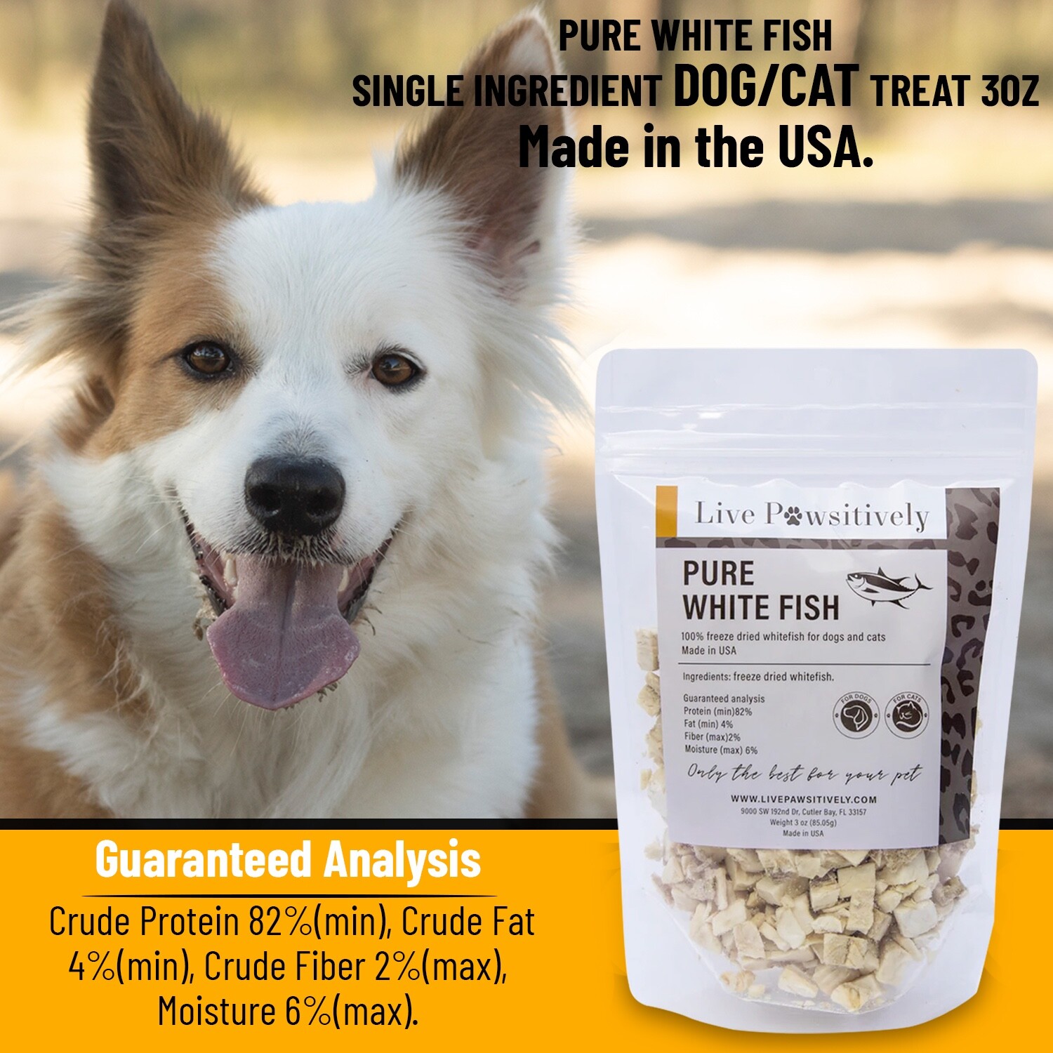Freeze Dried White Fish Single Ingredient dog/cat treat 3oz, Live Pawsitively