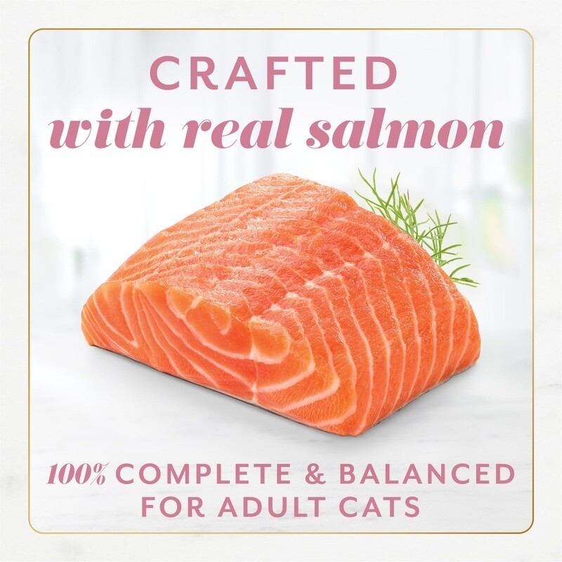 4 Pack Wet Cat Food Mousse Salmon Gravy Pate All Breeds Easy Serve 2oz Tubs New