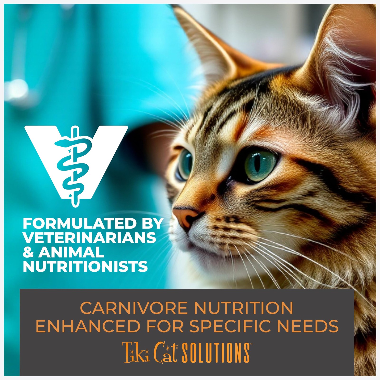 Tiki Pets Tiki Cat Solutions Dry Cat Food Mobility 2.8 Lbs. Bag