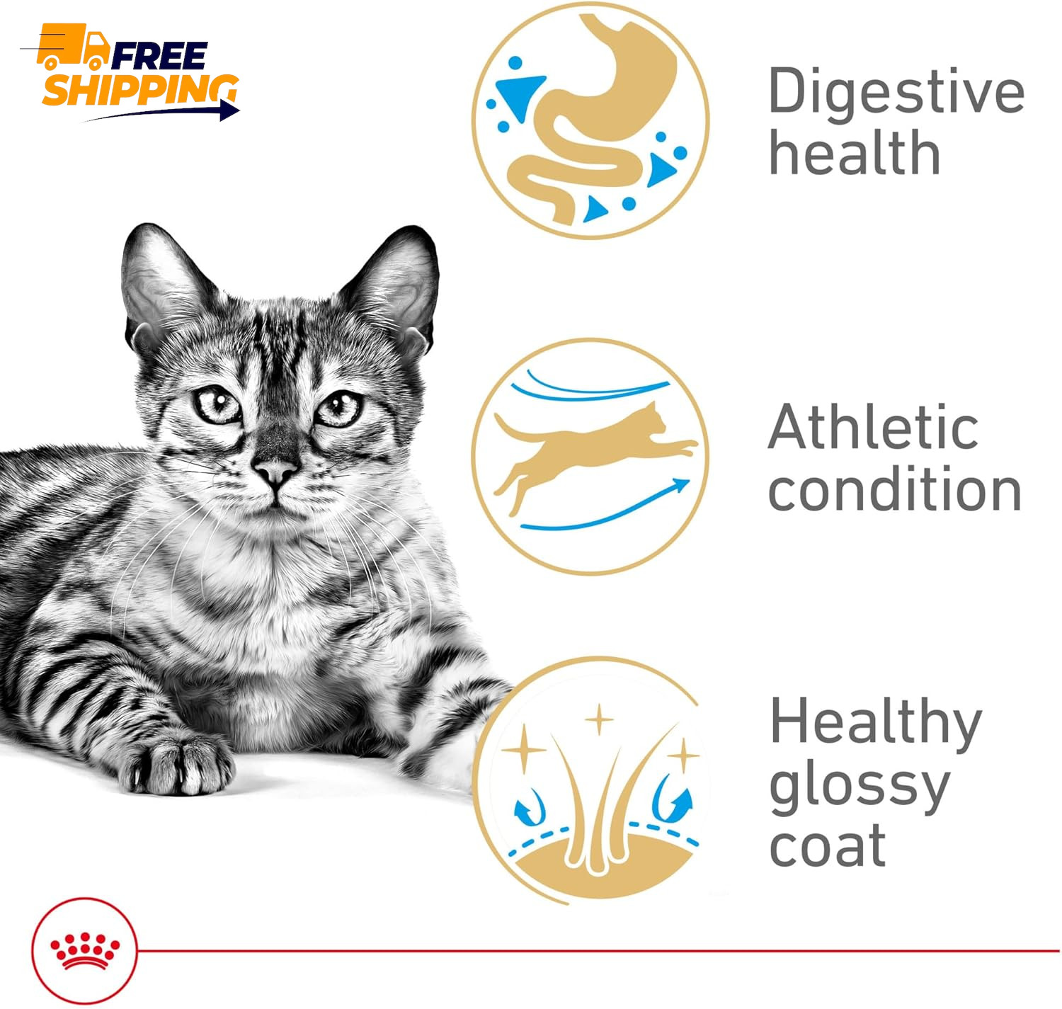 Feline Breed Nutrition Bengal Adult Dry Cat Food, 7 Lb Bag