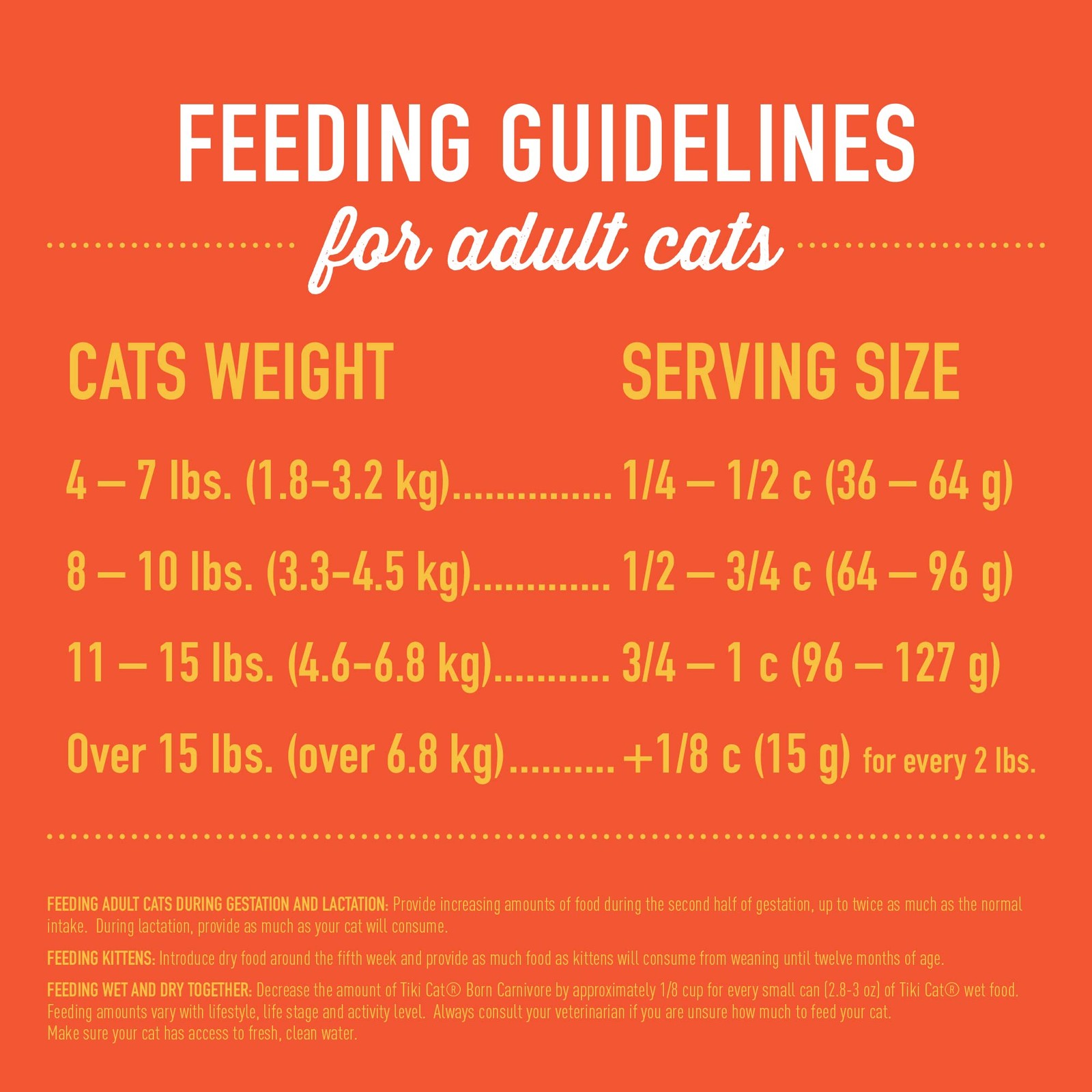 Tiki Pets Tiki Cat Born Carnivore Indoor Health Dry Cat Food Chicken Turkey
