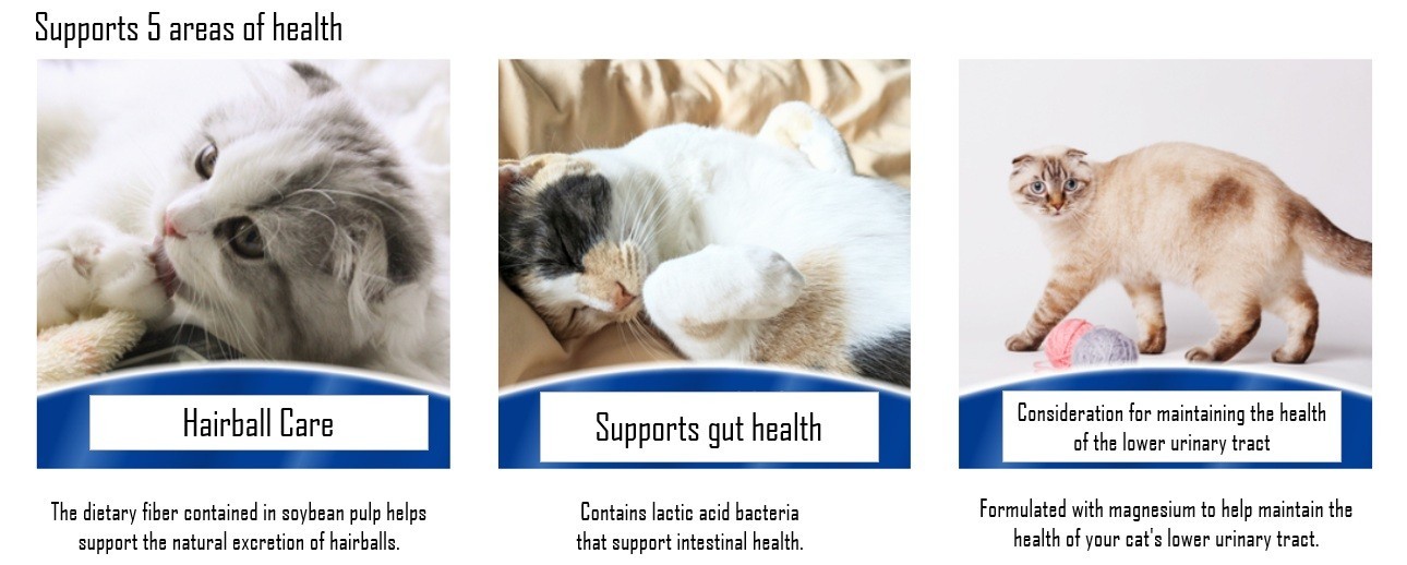 AIM30 Kidney health care for over 15 years old indoor cats Chicken 600g x6