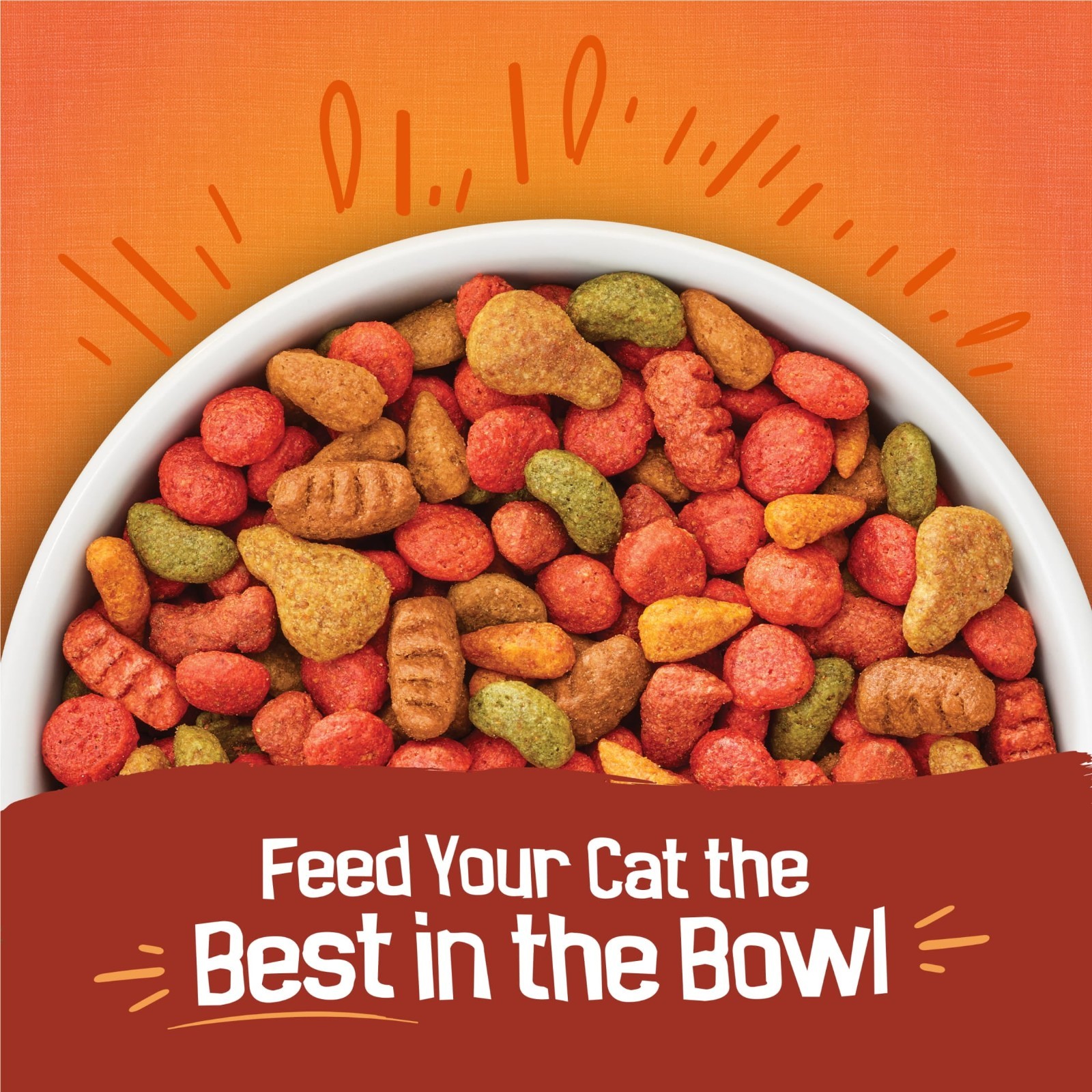 3 Pack, Purina Friskies Tender and Crunchy Dry Cat Food Flavors of Chicken,