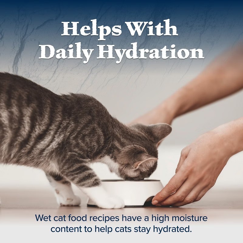 Blue Buffalo Wilderness High Protein Grain-Free Kitten Pate Wet Cat Food
