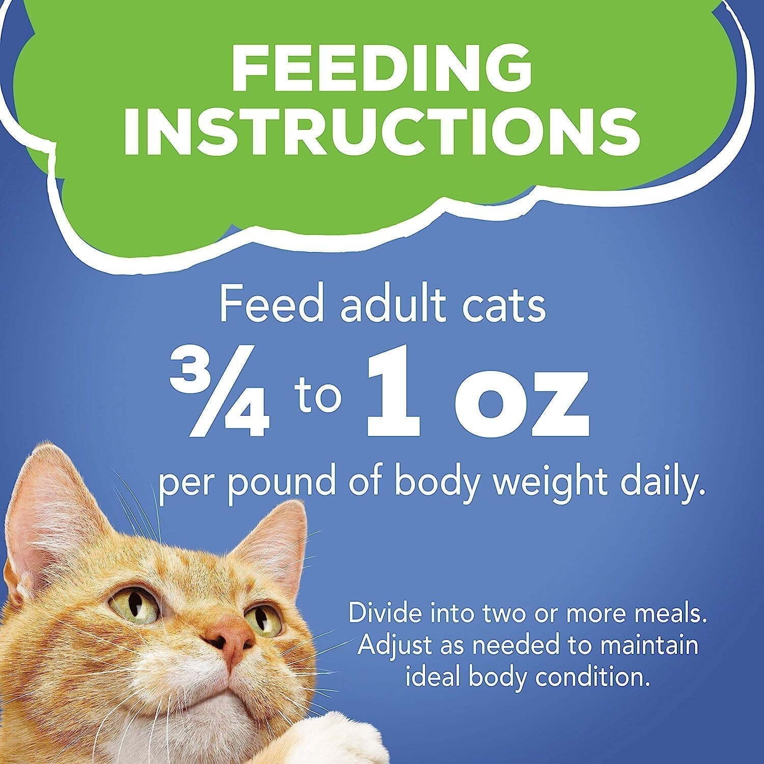 Wet Cat Food For Adult Cats Kittens Seafood Favorites Variety Pack 32 Pack