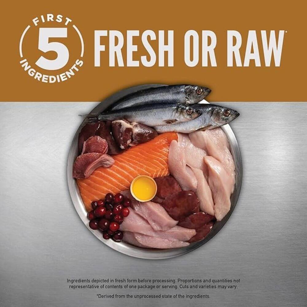 ORIJEN Cat High Protein Fresh & Raw Animal Ingredients Dry Food, 12 lbs, New