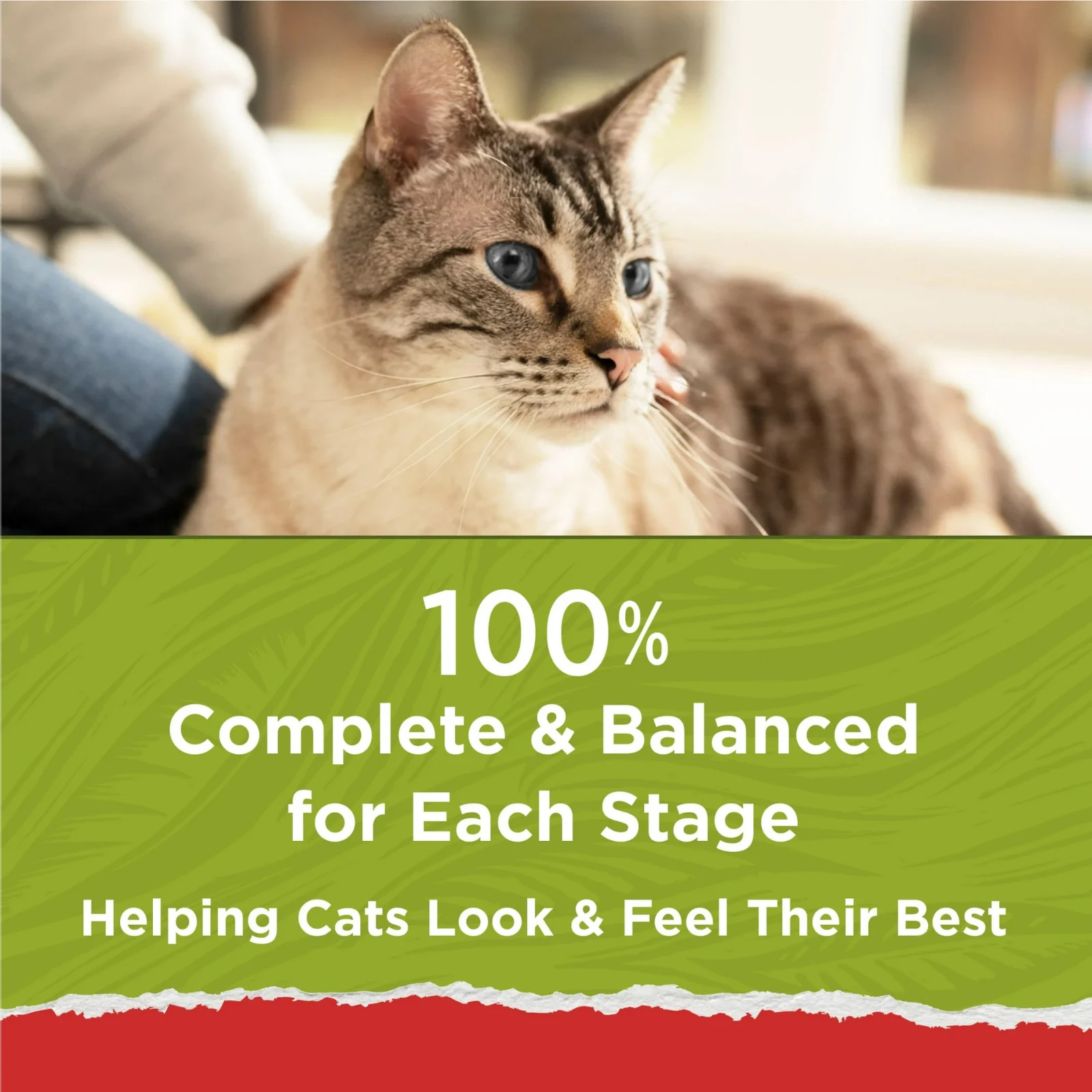 (2 pack) Purina Cat Chow Naturals, Dry Cat Food, Chicken & Salmon, 18 lb Bag