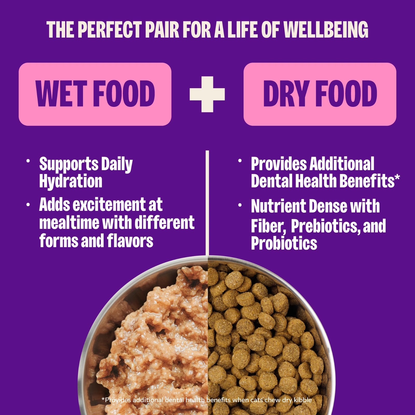 Wellness Complete Health Pate Kitten Wet Cat Food, Natural, Protein-Rich,24 Pack