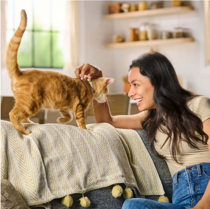 (2 pack) Meow Mix Tender Centers, Beef & Salmon Flavors, Dry Cat Food 14.2lb Bag