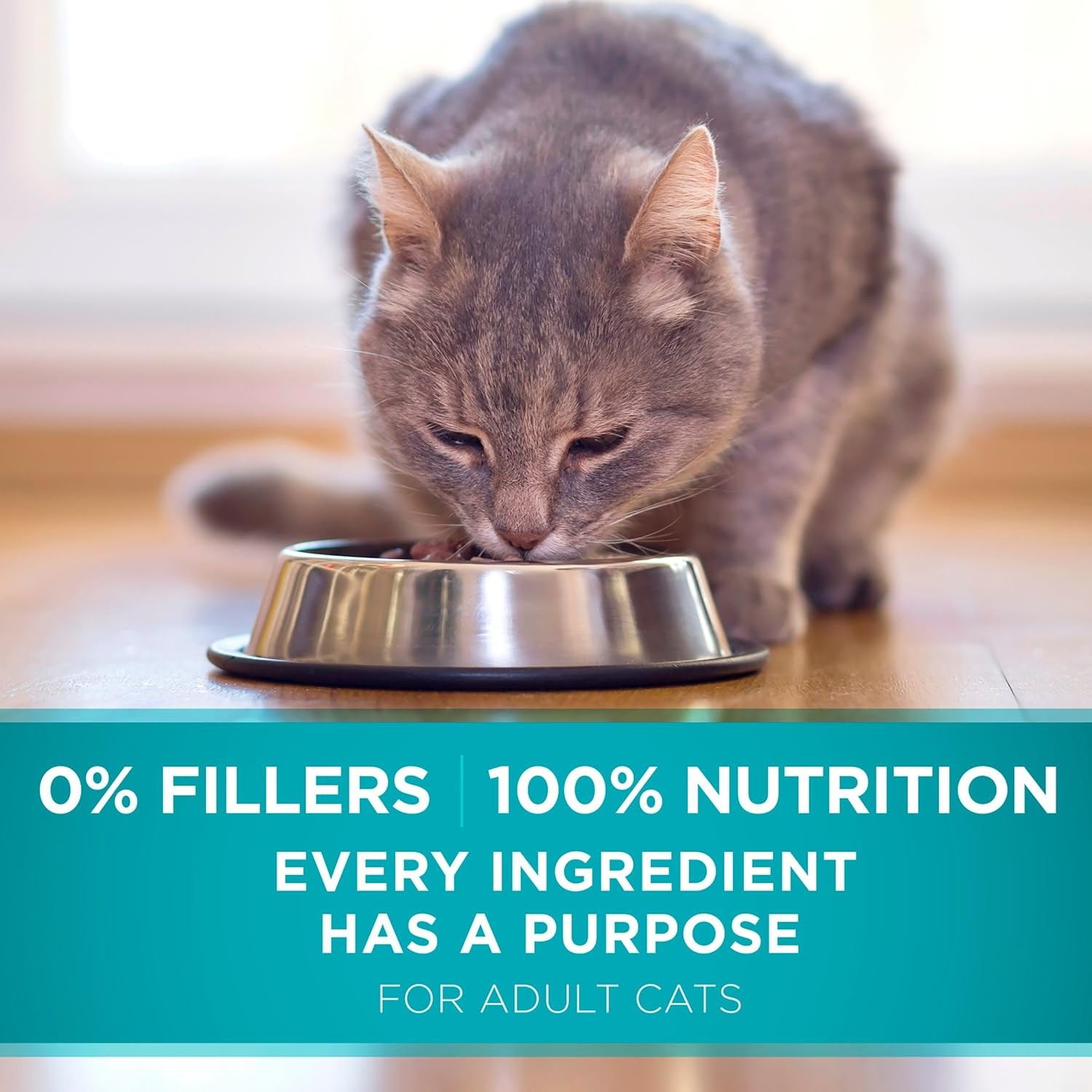 Purina ONE Natural Dry Cat Food, Tender Selects 22 Pound (Pack of 1), Other
