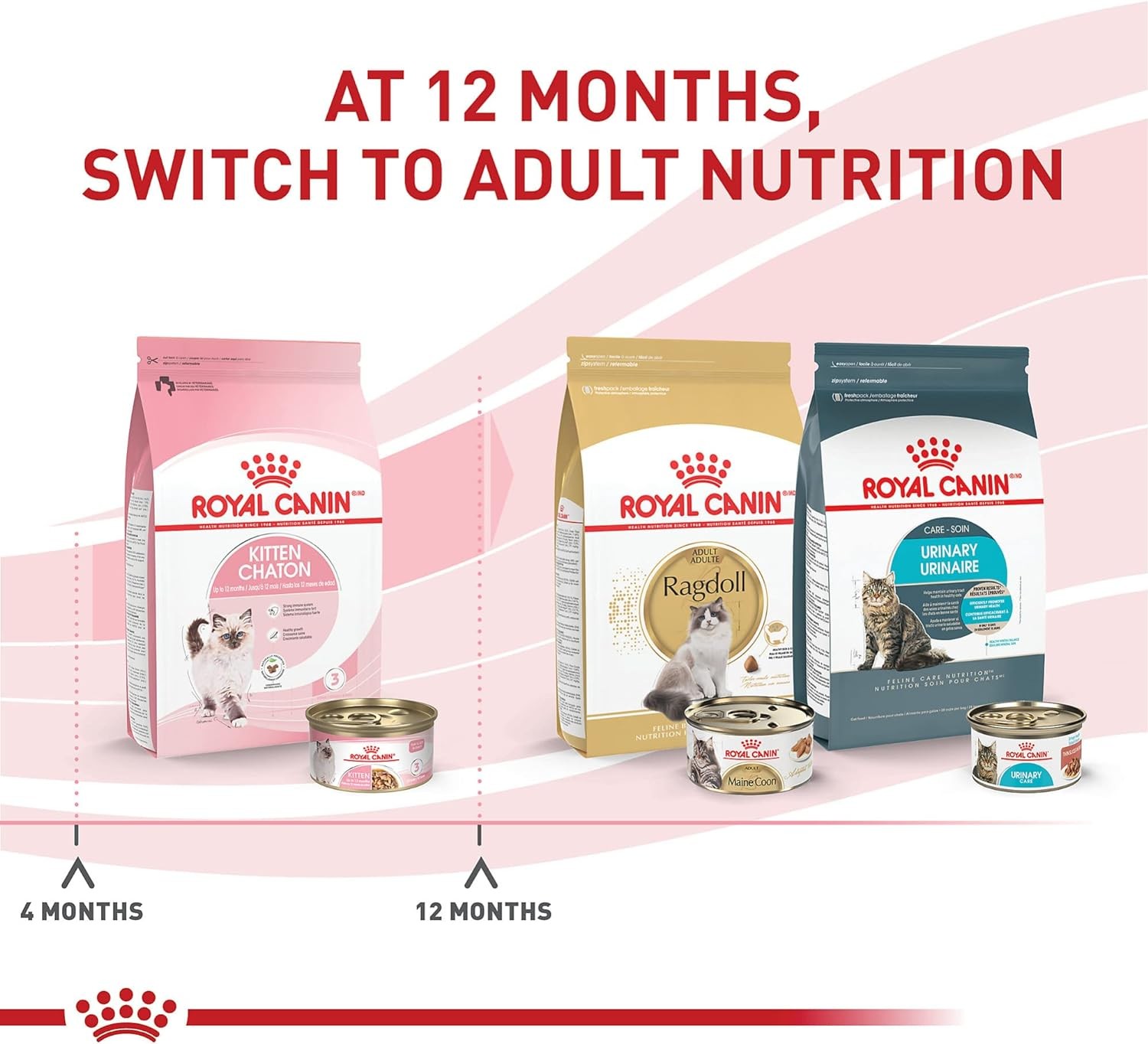 Royal Canin Feline Health Nutrition 3 Ounce (Pack of 24), No artificial color