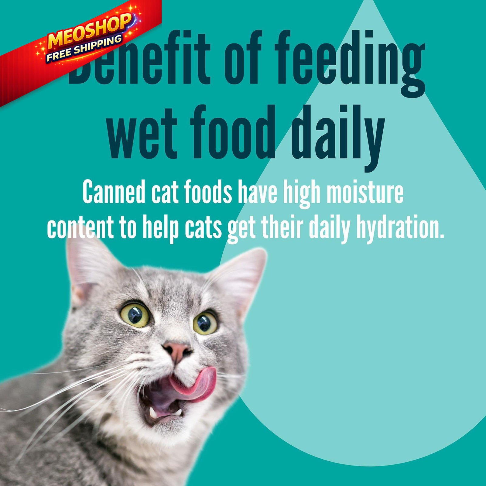 A Strong Heart Canned Wet Cat Food, Liver & Chicken 13.2 Ounce (Pack of 12)