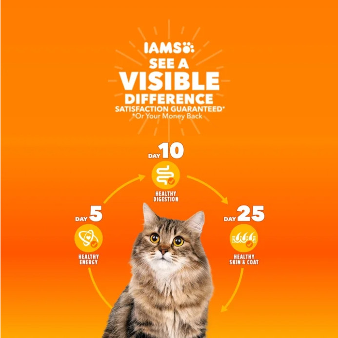 Iams Proactive Health Urinary Tract Chicken Dry Cat Food, 7 lb