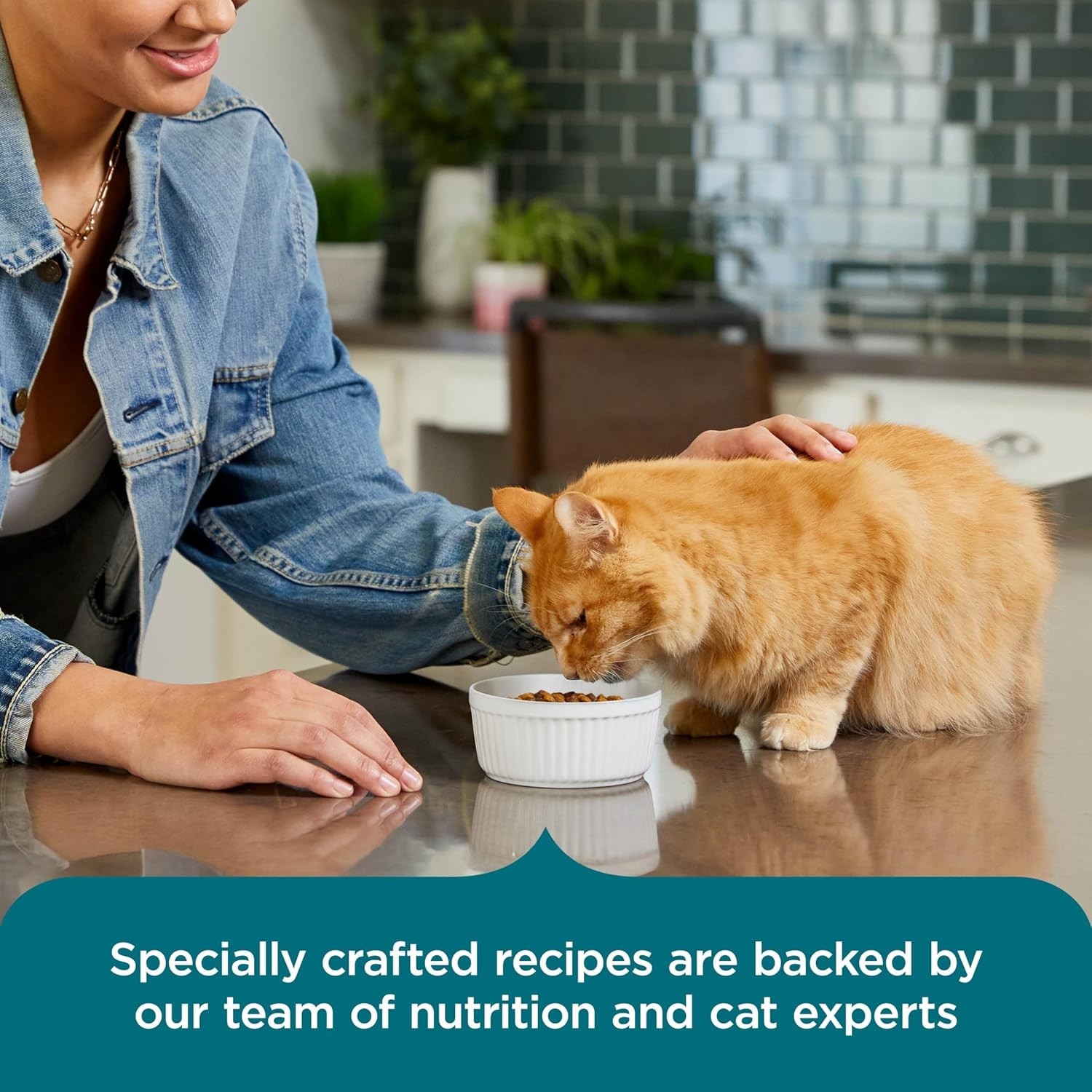 Nutrish Real Salmon Brown Rice Recipe Dry Cat Food, 14 lb. Bag, Packaging May
